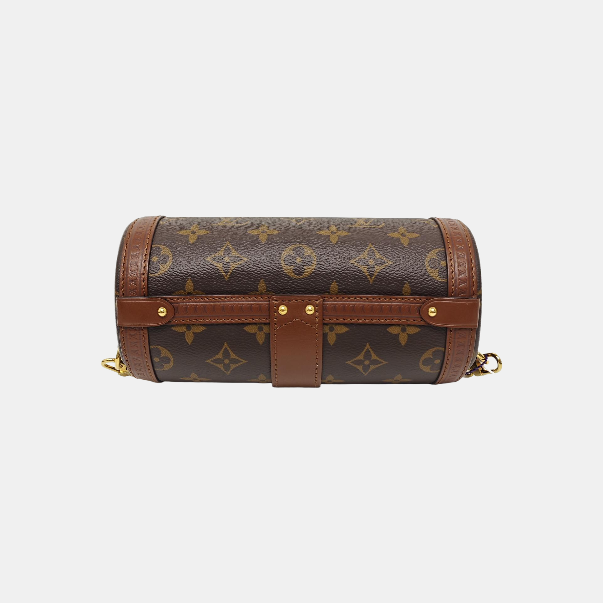 PAPILLON 19 Monogram Coated Canvas Brown
