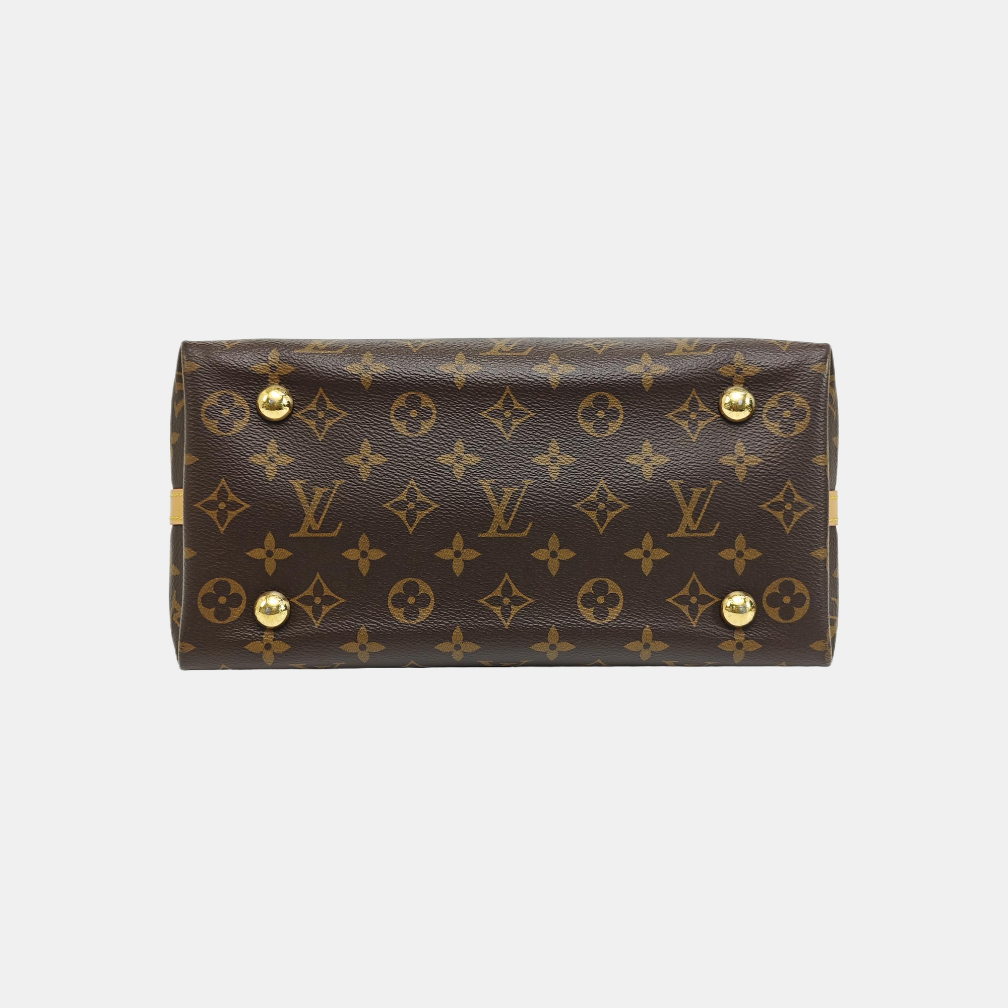 CARRYALL PM Monogram Coated Canvas Brown