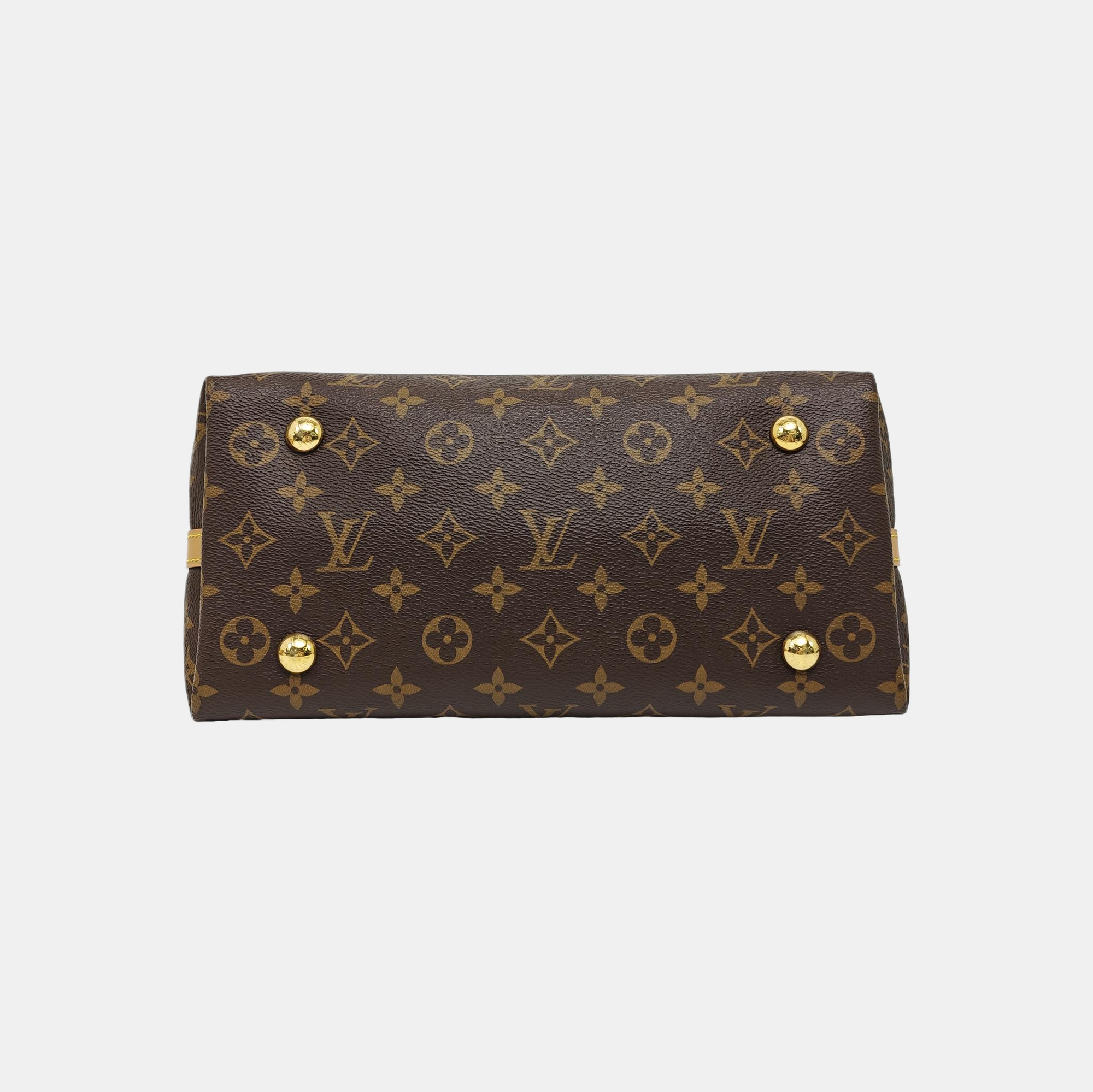 CARRYALL PM Monogram Coated Canvas Brown