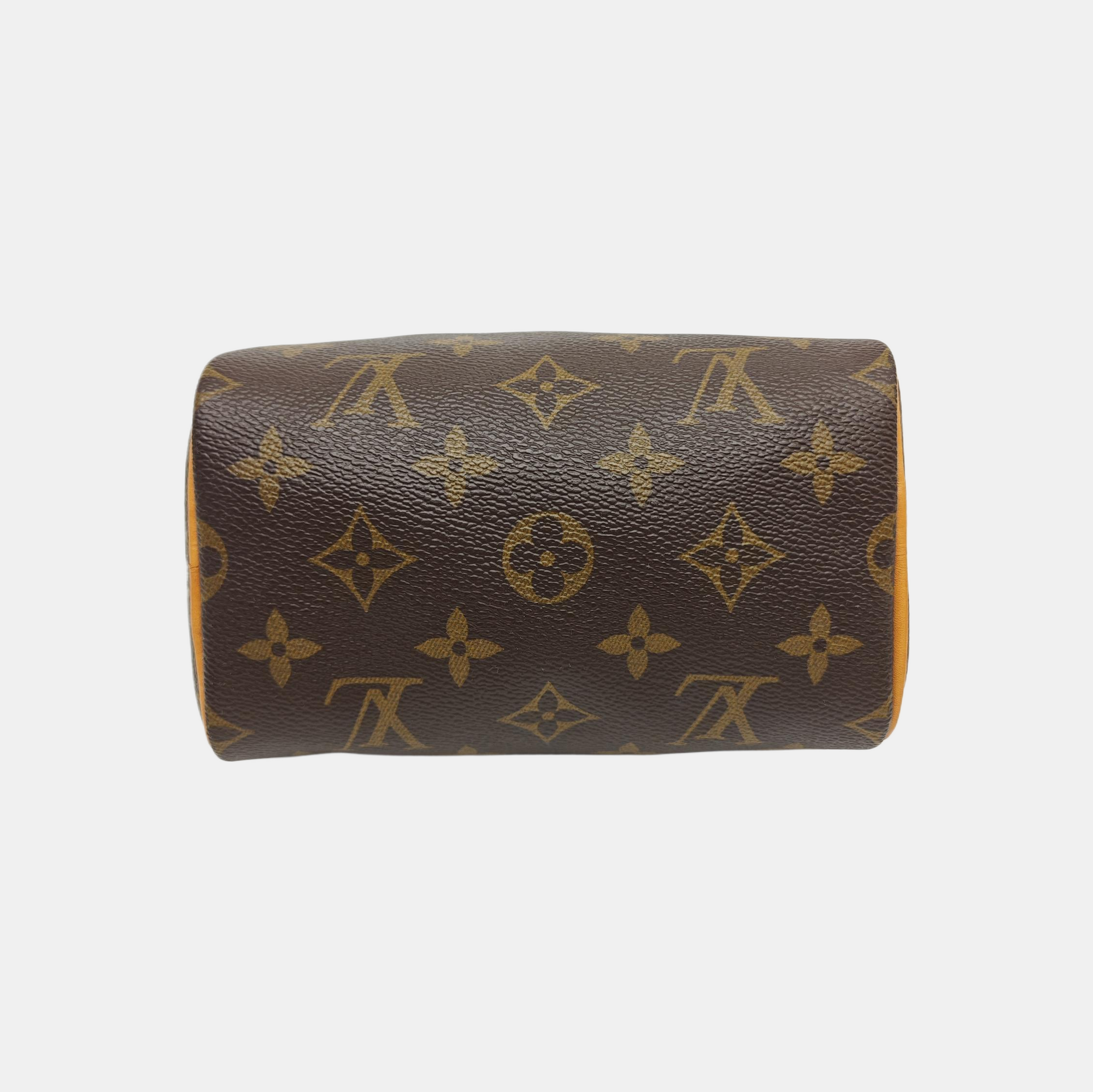 SPEEDY Nano Monogram Coated Canvas Brown