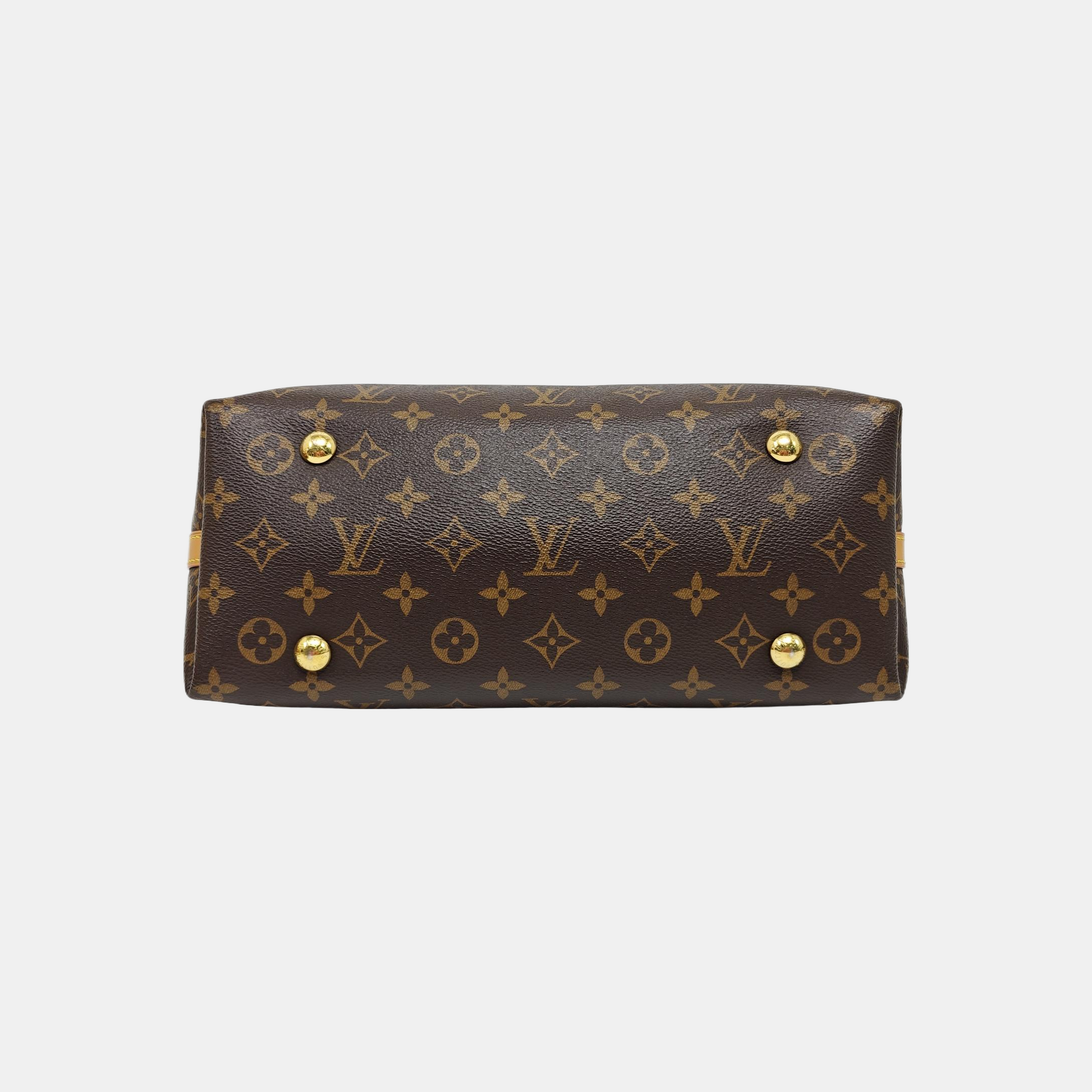 CARRYALL PM Monogram Coated Canvas Brown