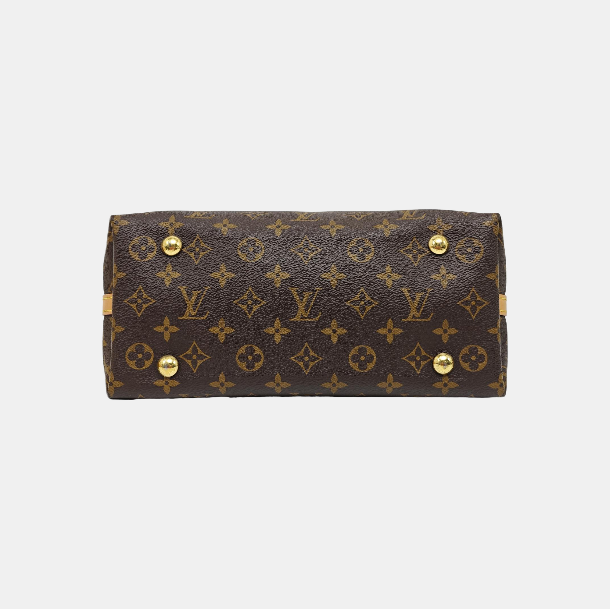 CARRYALL PM Monogram Coated Canvas Brown