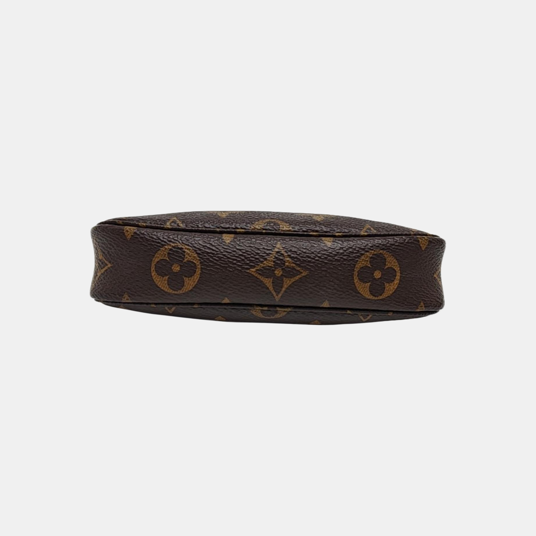 ACCESSOIRES Mini Monogram Coated Canvas Brown