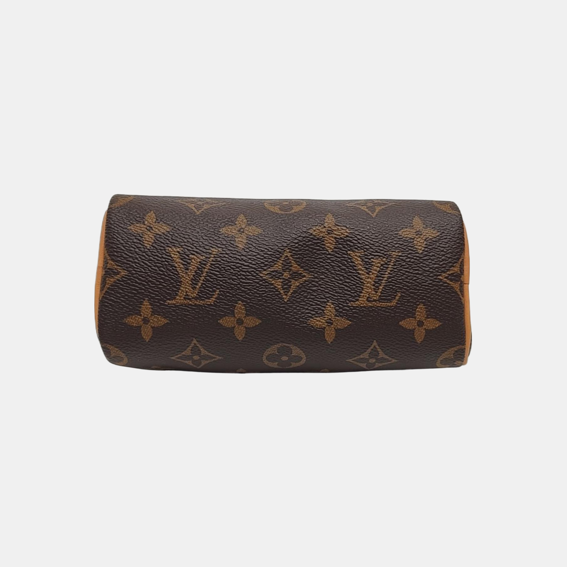 SPEEDY Nano Monogram Coated Canvas Brown