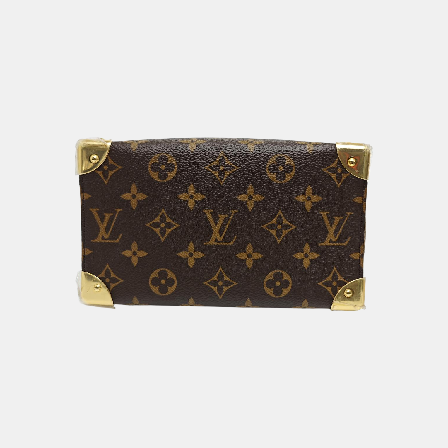 SPEEDY TRUNK 20 Monogram Coated Canvas Brown