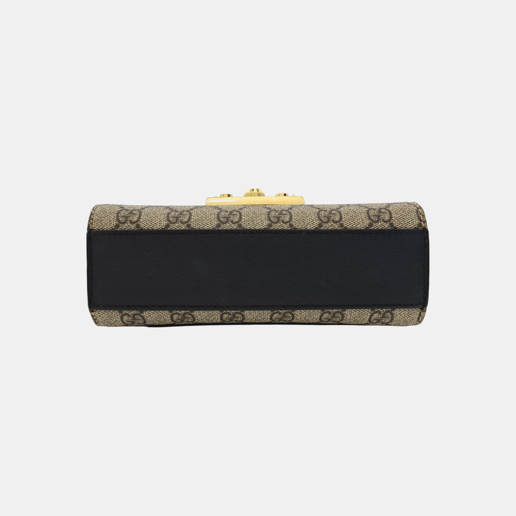 Padlock Small Monogram Coated Canvas Multicolor