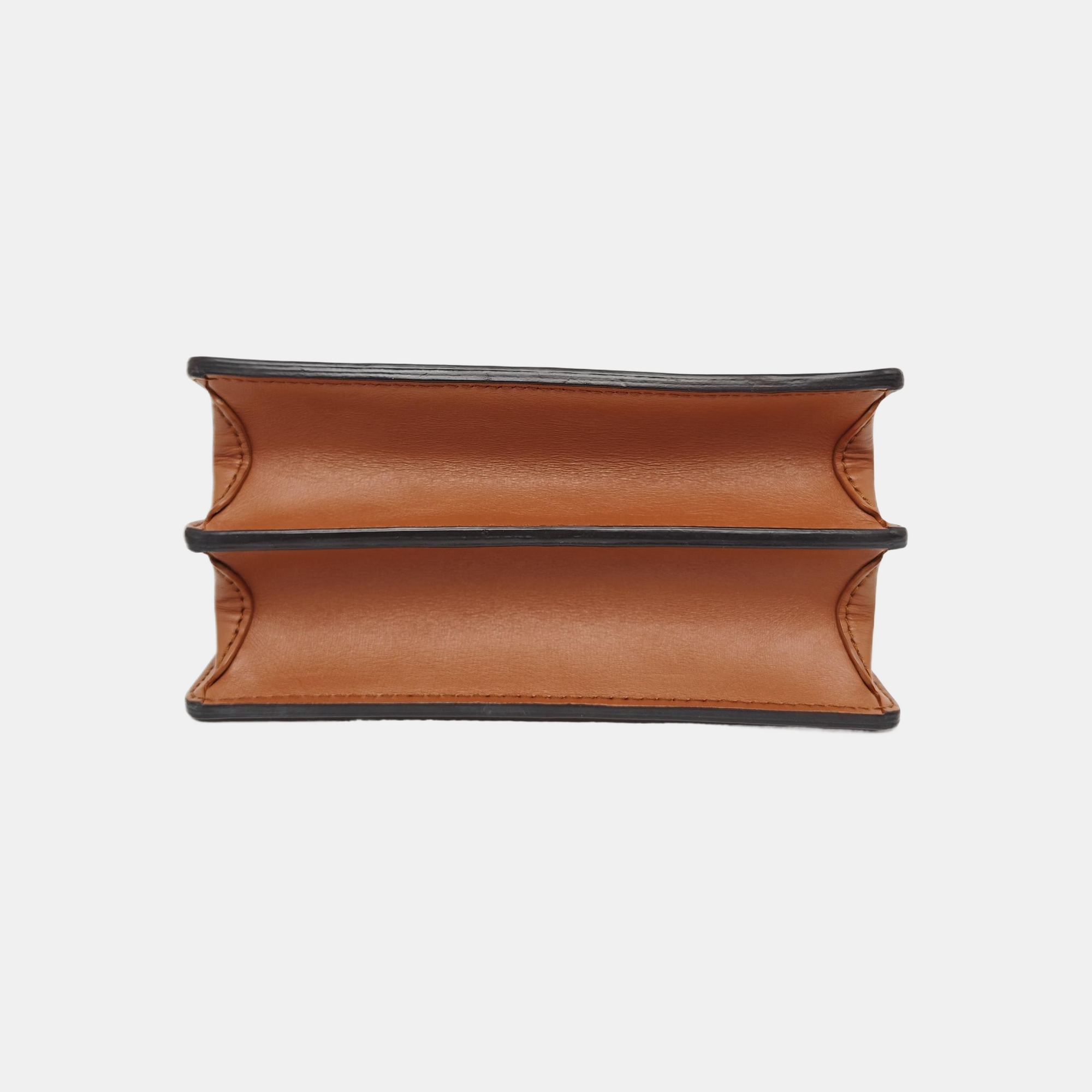 DAUPHINE Mini Monogram Coated Canvas Brown