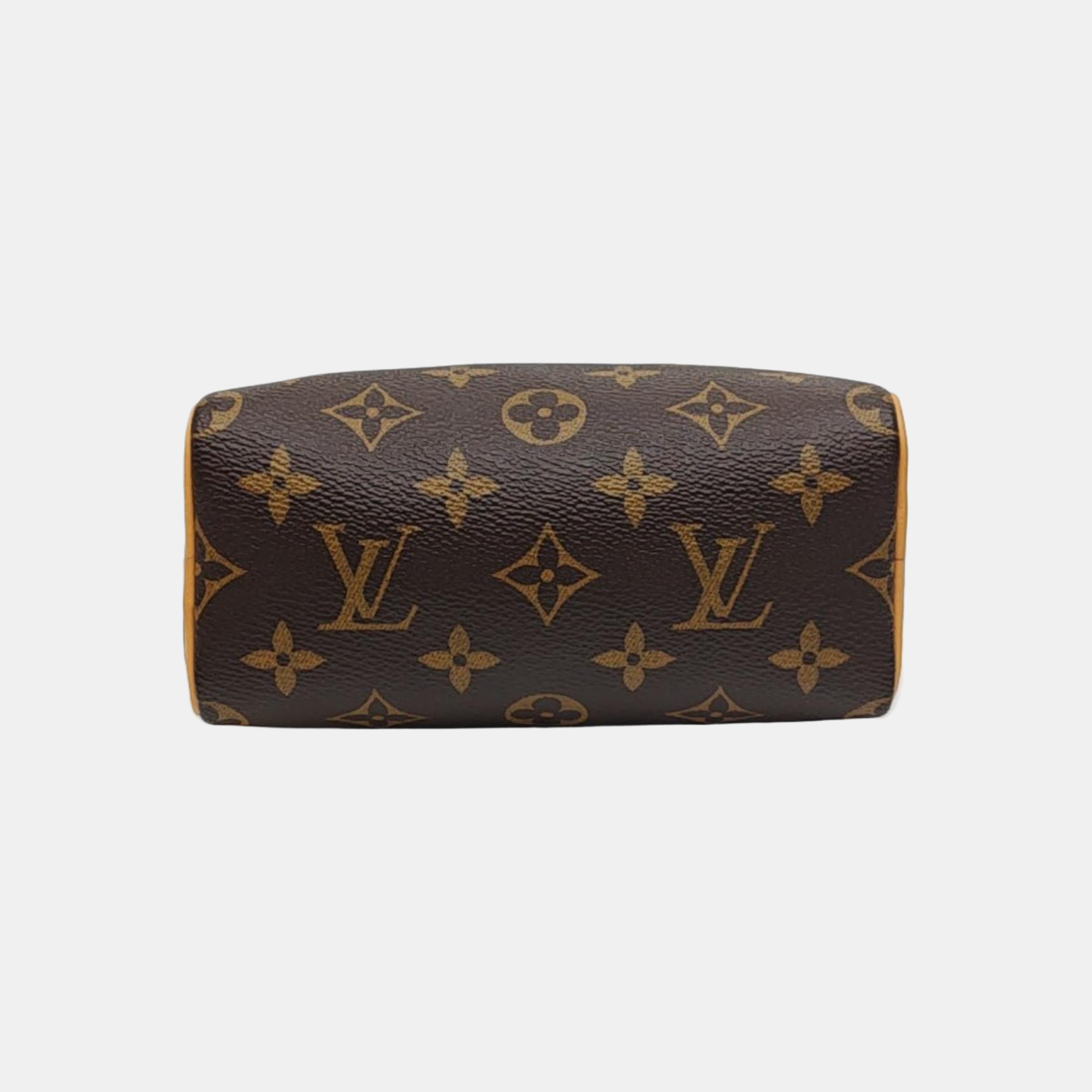 SPEEDY Nano Monogram Coated Canvas Brown