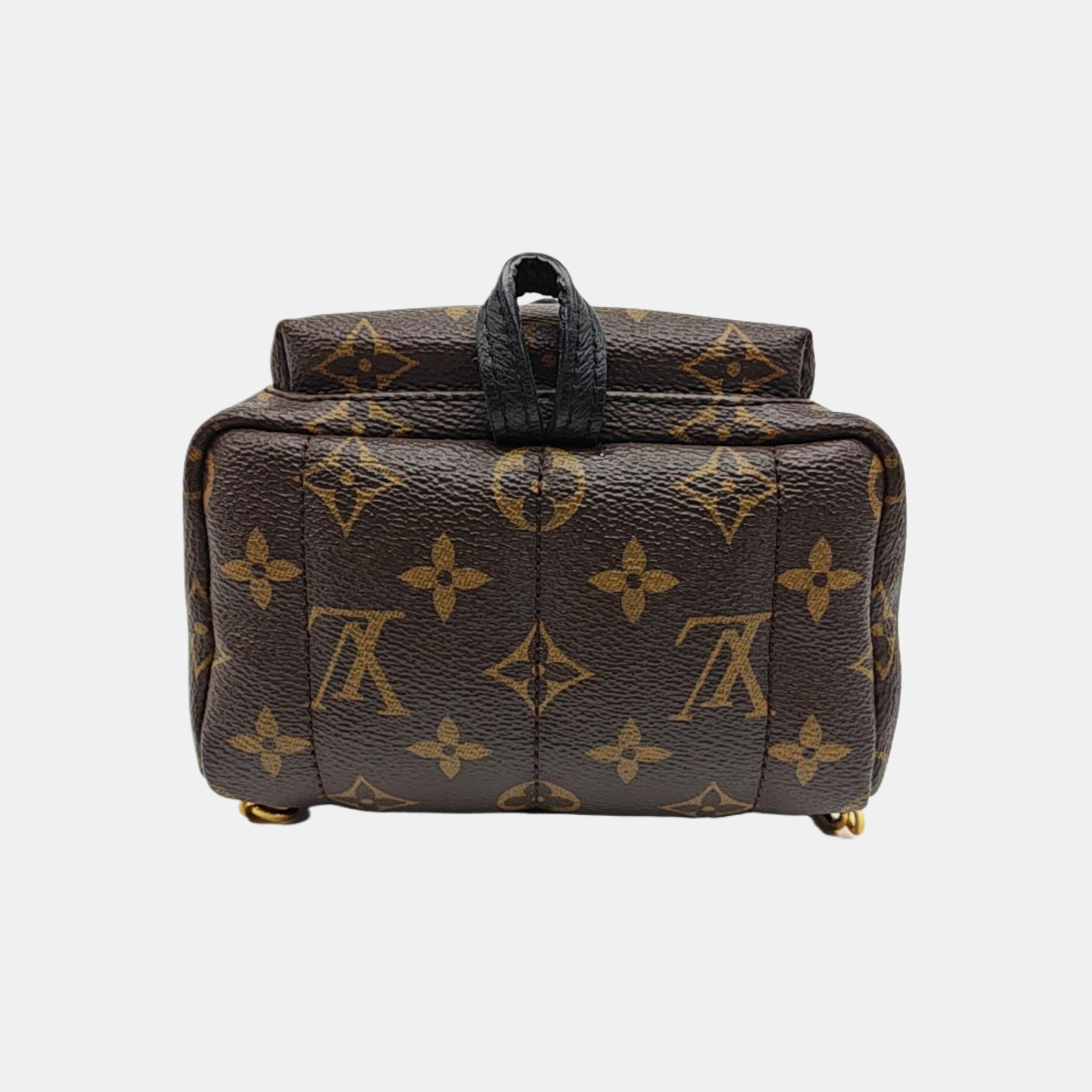 PALM SPRINGS Mini Monogram Coated Canvas Brown