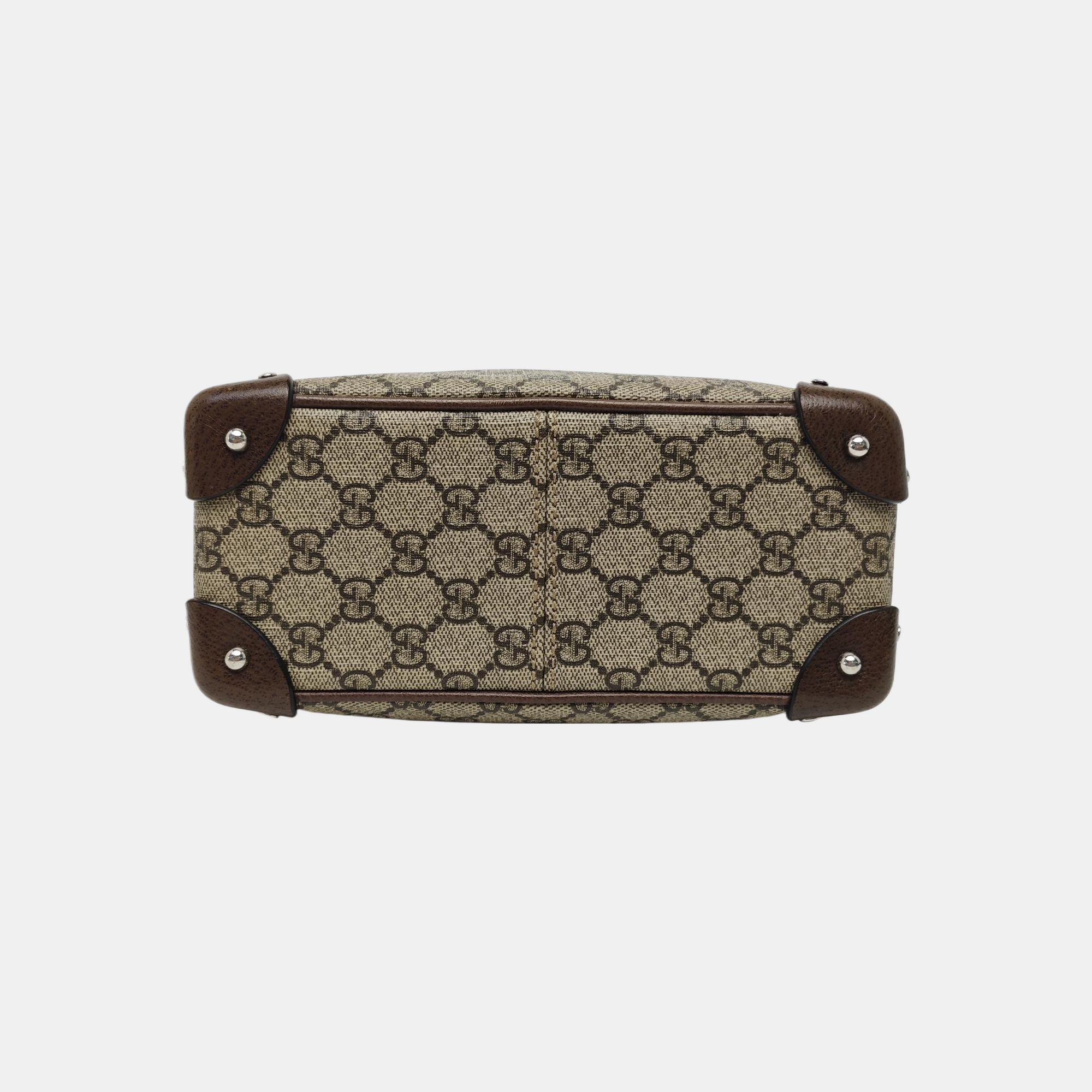 Trunk Monogram Coated Canvas Brown