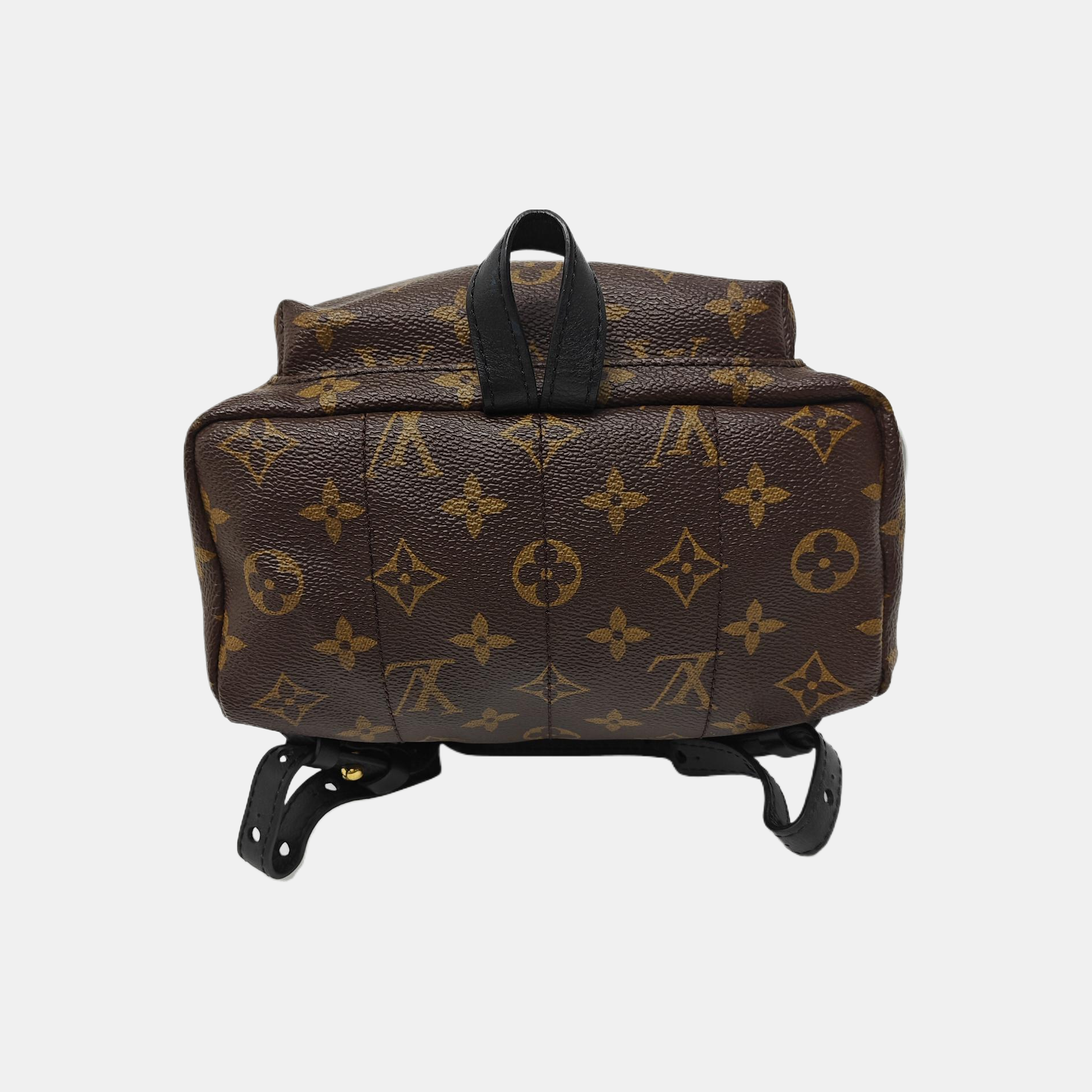 PALM SPRINGS PM Monogram Coated Canvas Brown