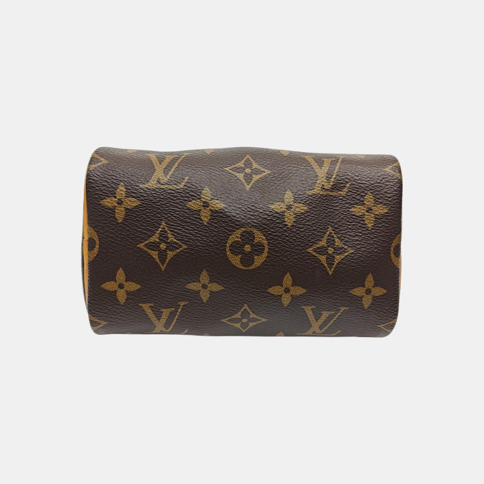 SPEEDY Nano Monogram Coated Canvas Brown