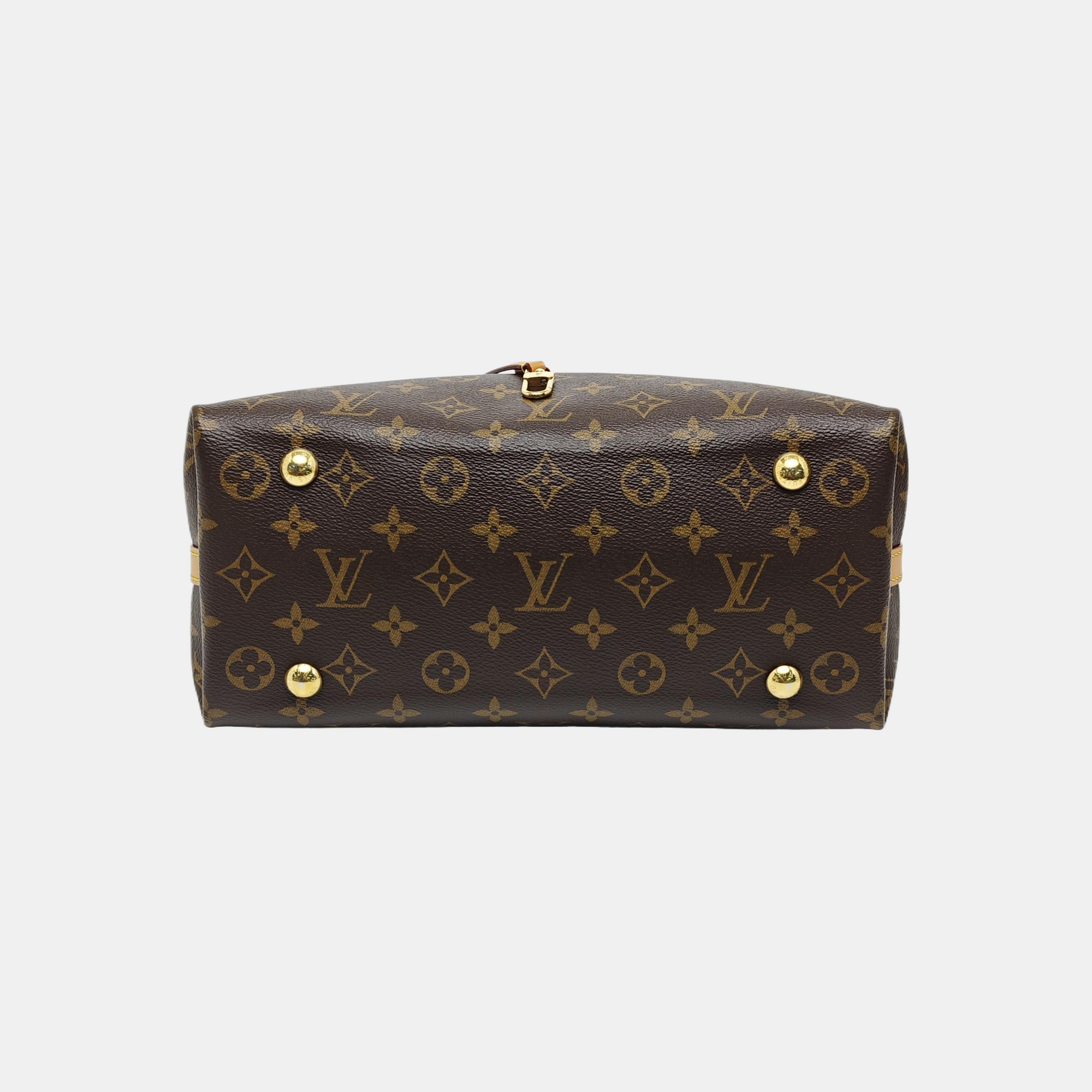 CARRYALL PM Monogram Coated Canvas Brown
