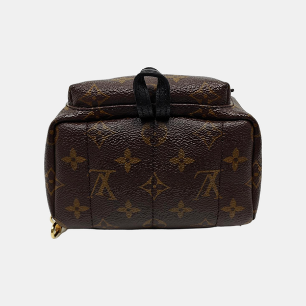 PALM SPRINGS Mini Monogram Coated Canvas Brown