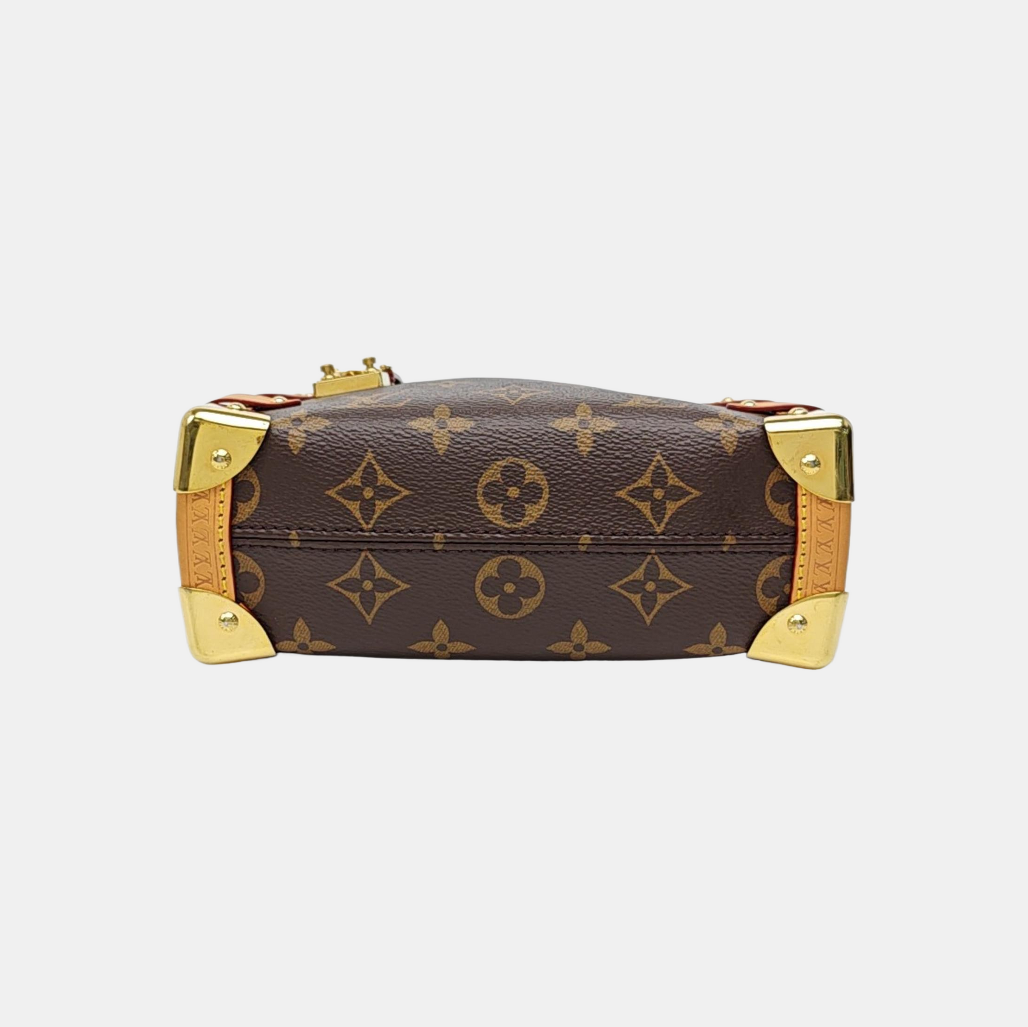 SIDE TRUNK PM Monogram Coated Canvas Brown