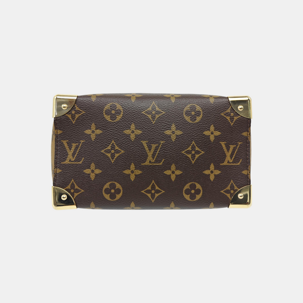 SPEEDY TRUNK 20 Monogram Coated Canvas Brown