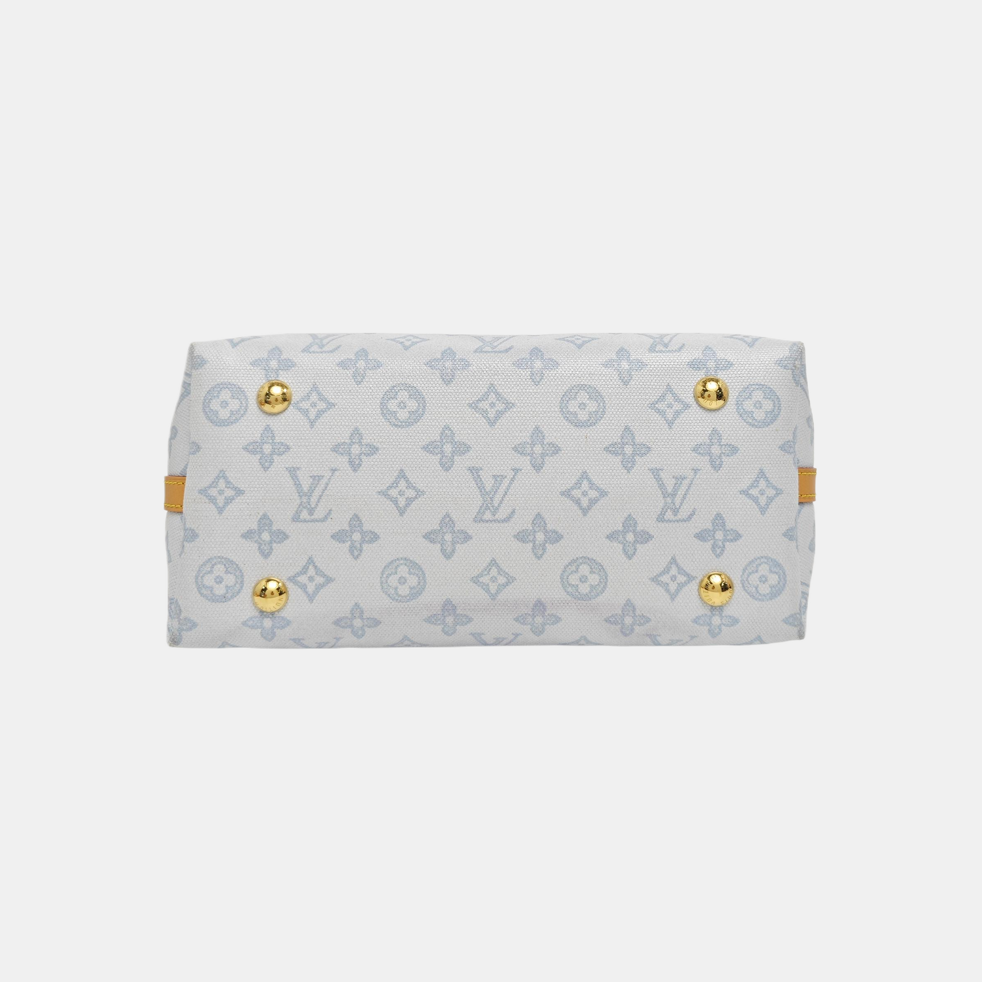 CARRYALL PM Monogram Coated Canvas Blue