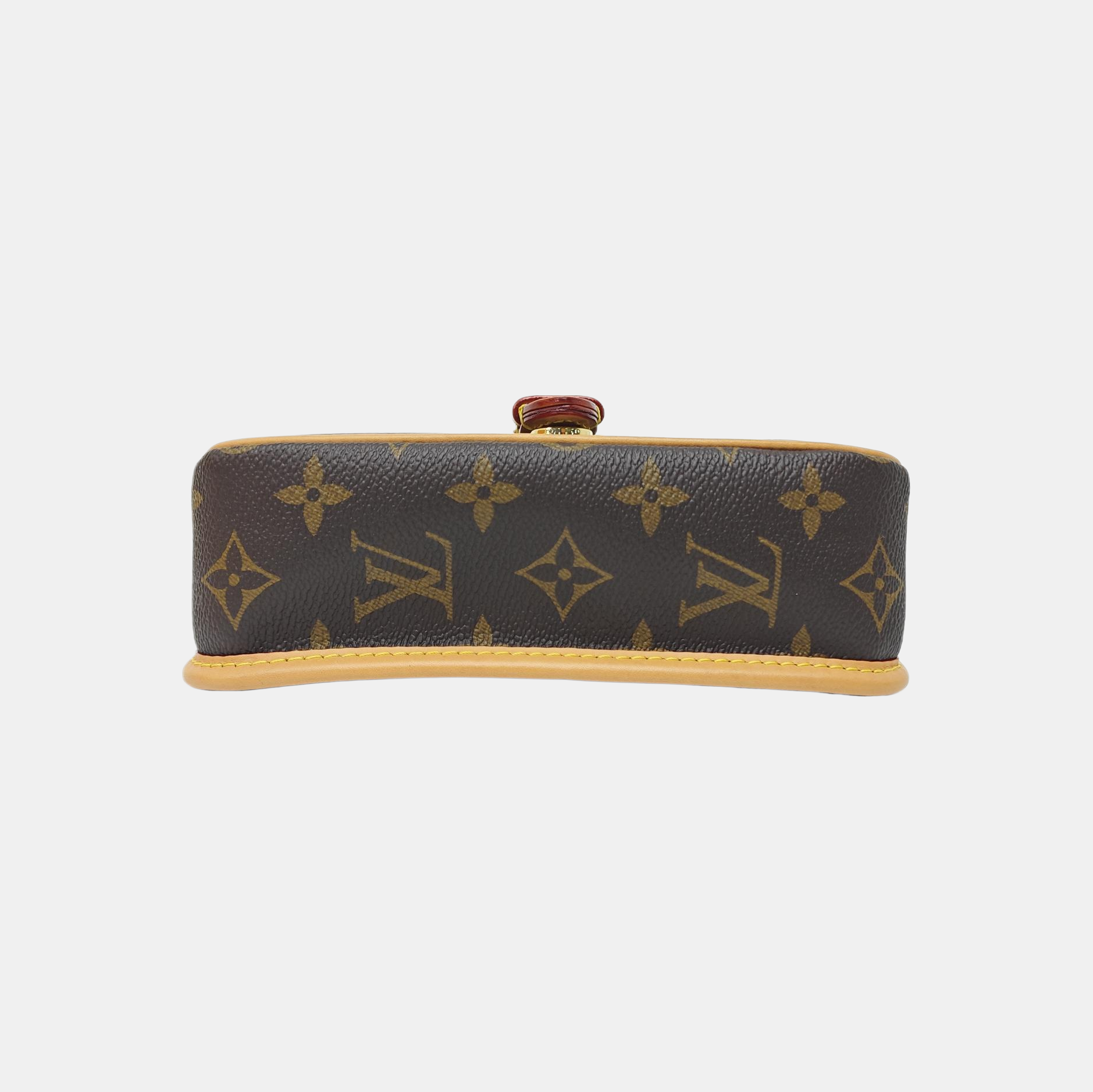DIANE Nano Monogram Coated Canvas Brown