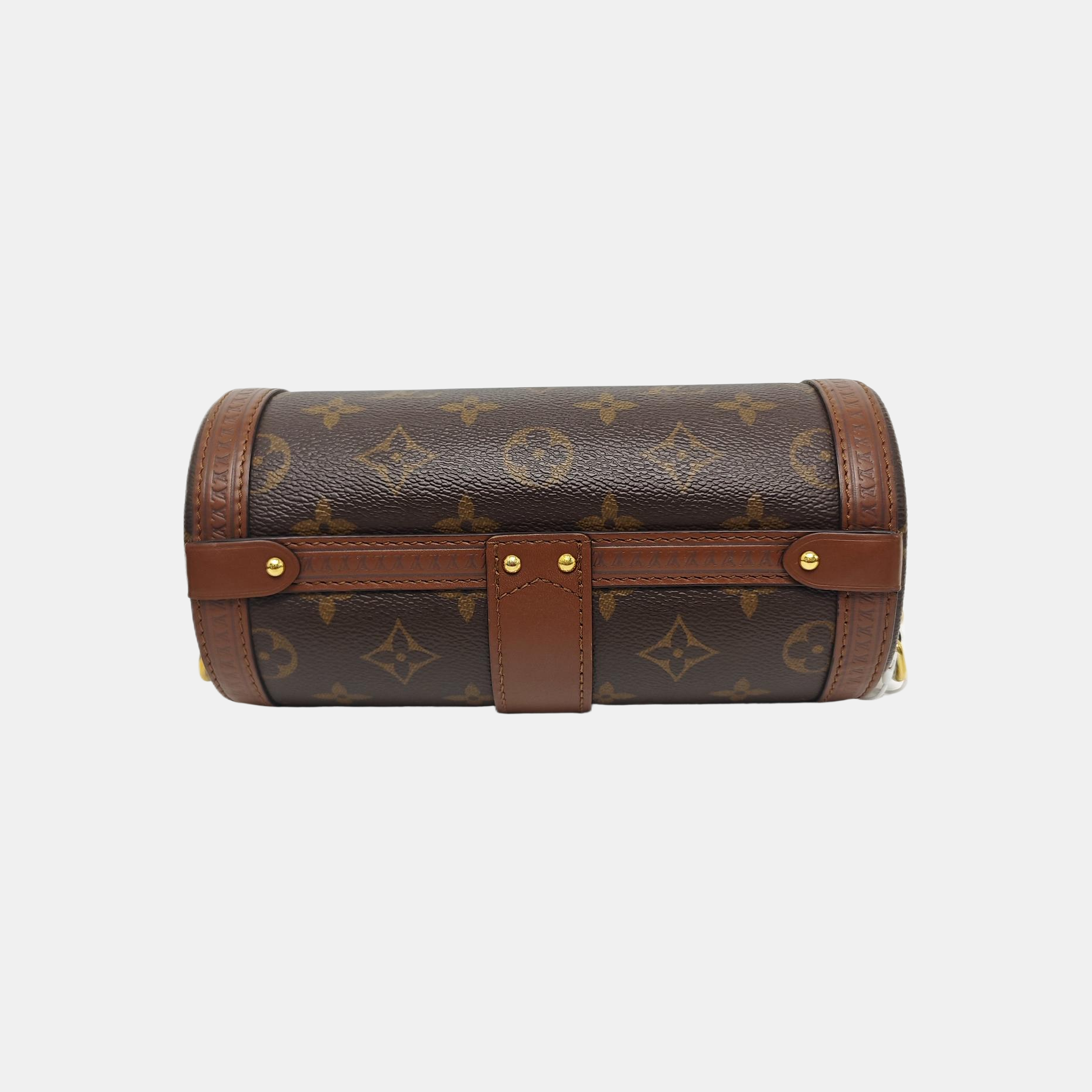 PAPILLON 19 Monogram Coated Canvas Brown
