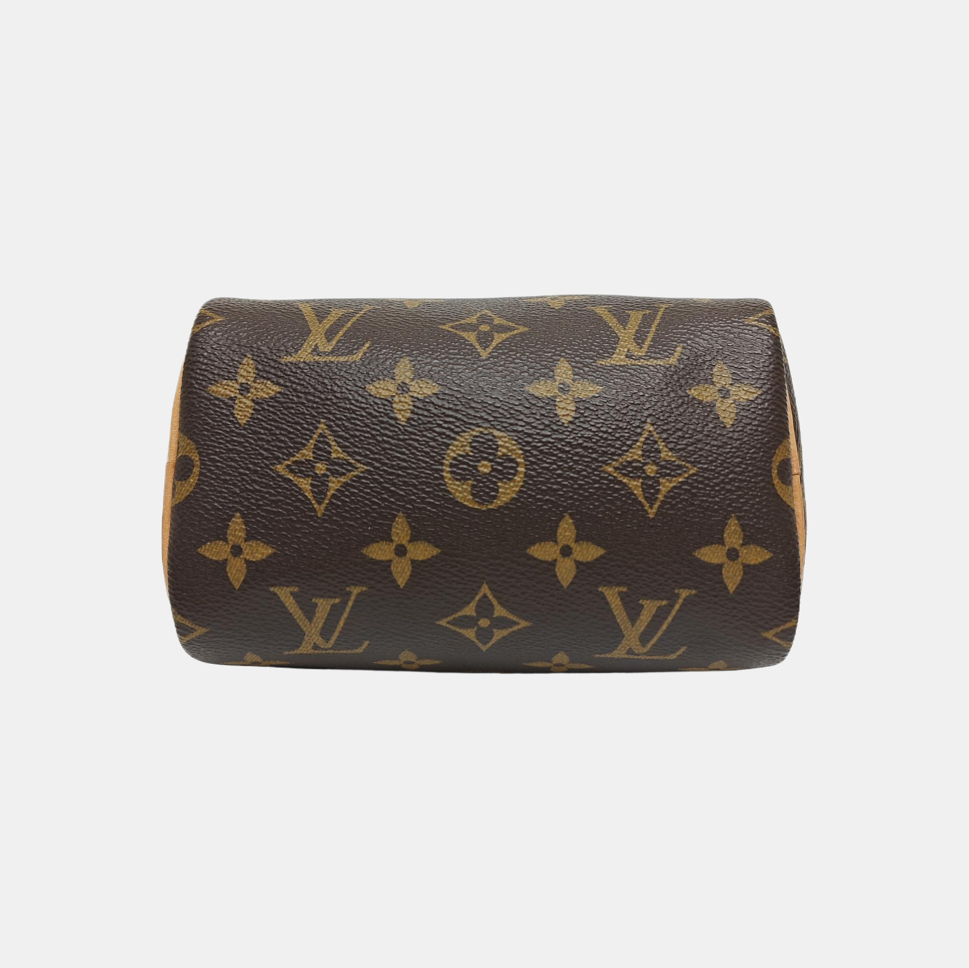 SPEEDY Nano Monogram Coated Canvas Brown