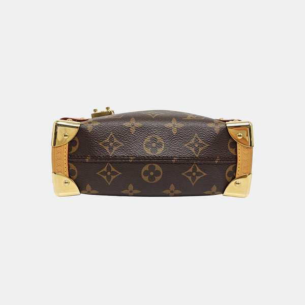 SIDE TRUNK PM Monogram Coated Canvas Brown