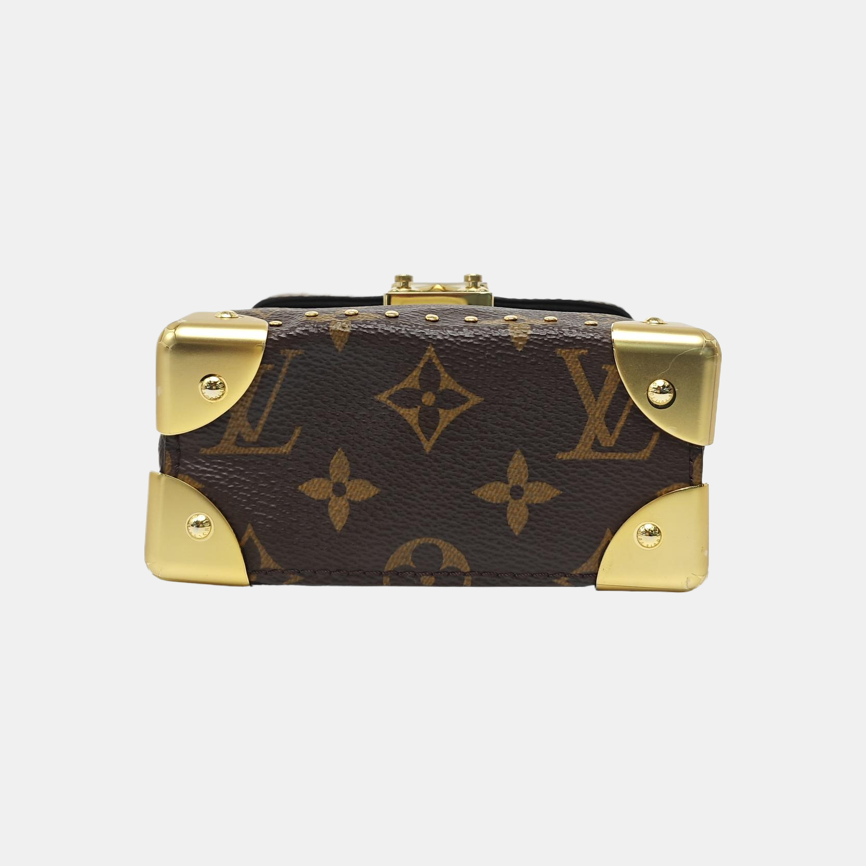 CAMERA BOX Monogram Coated Canvas Brown