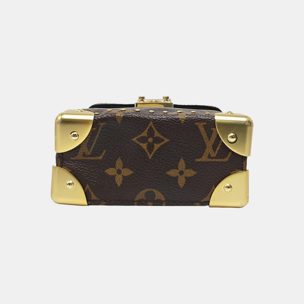 CAMERA BOX Monogram Coated Canvas Brown