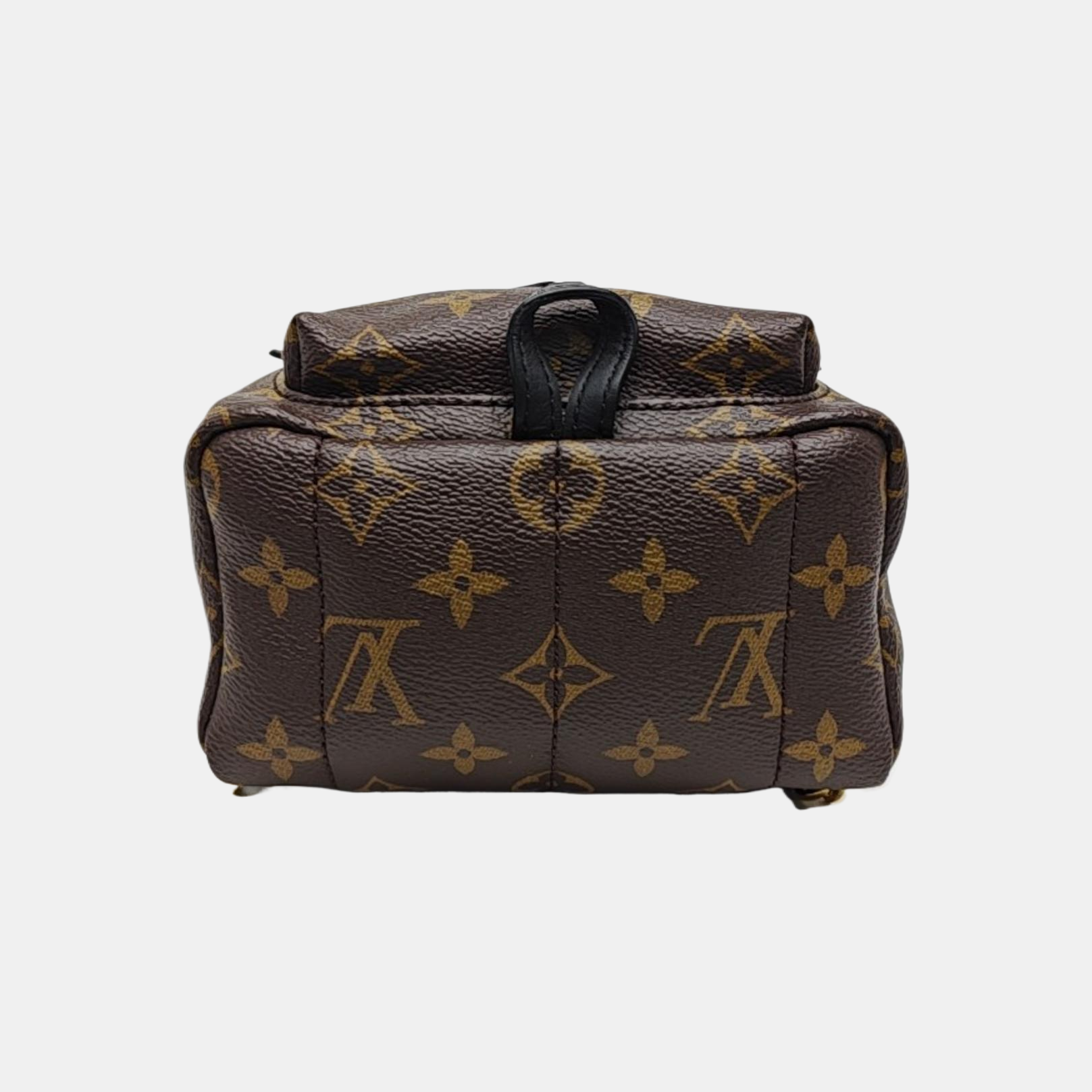 PALM SPRINGS Mini Monogram Coated Canvas Brown