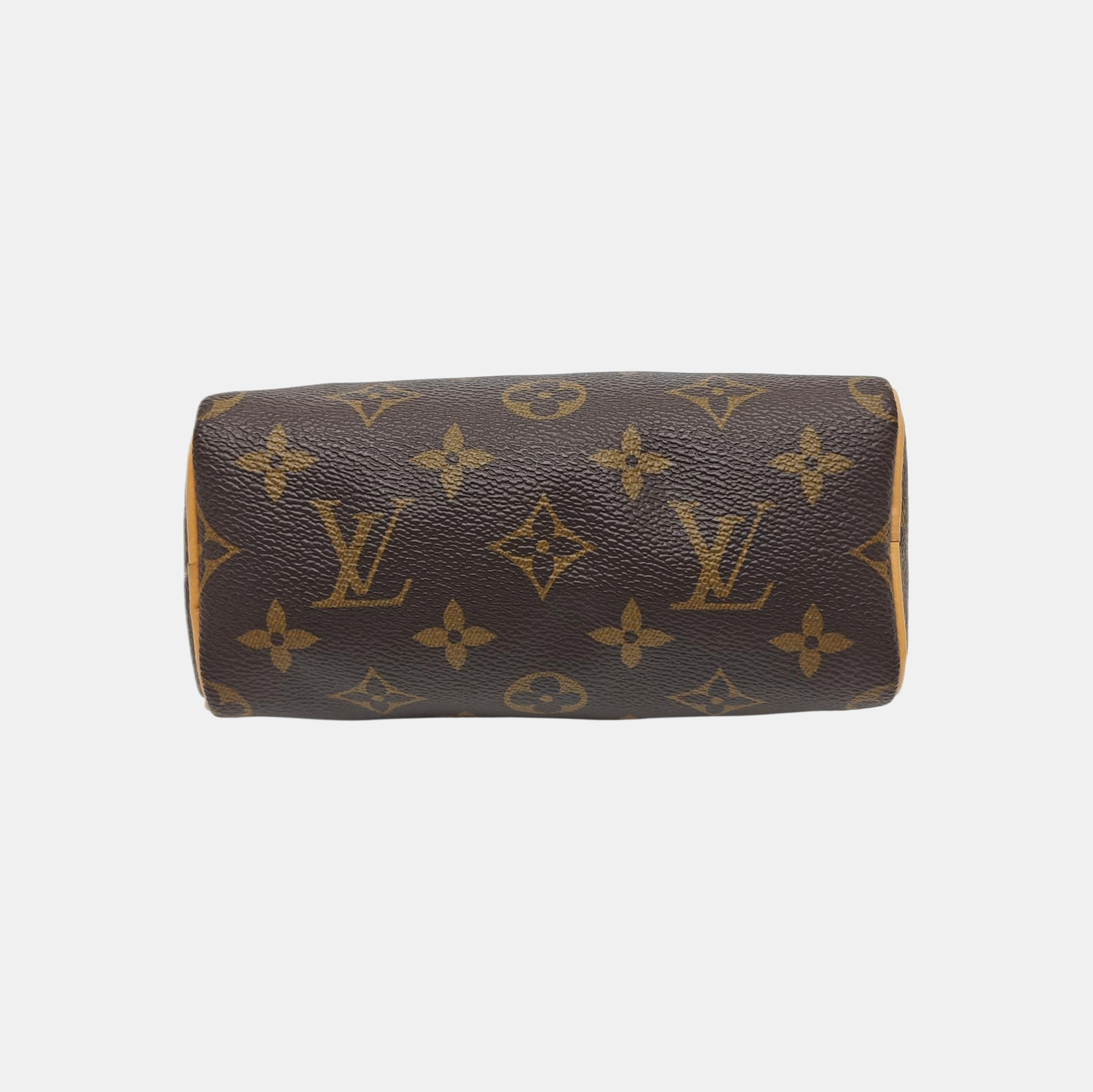 SPEEDY Nano Monogram Coated Canvas Brown