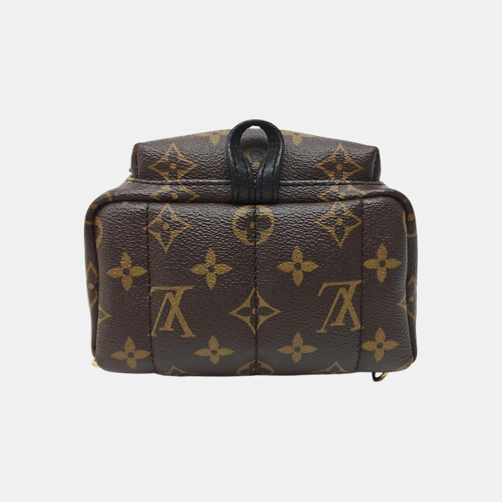 PALM SPRINGS Mini Monogram Coated Canvas Brown
