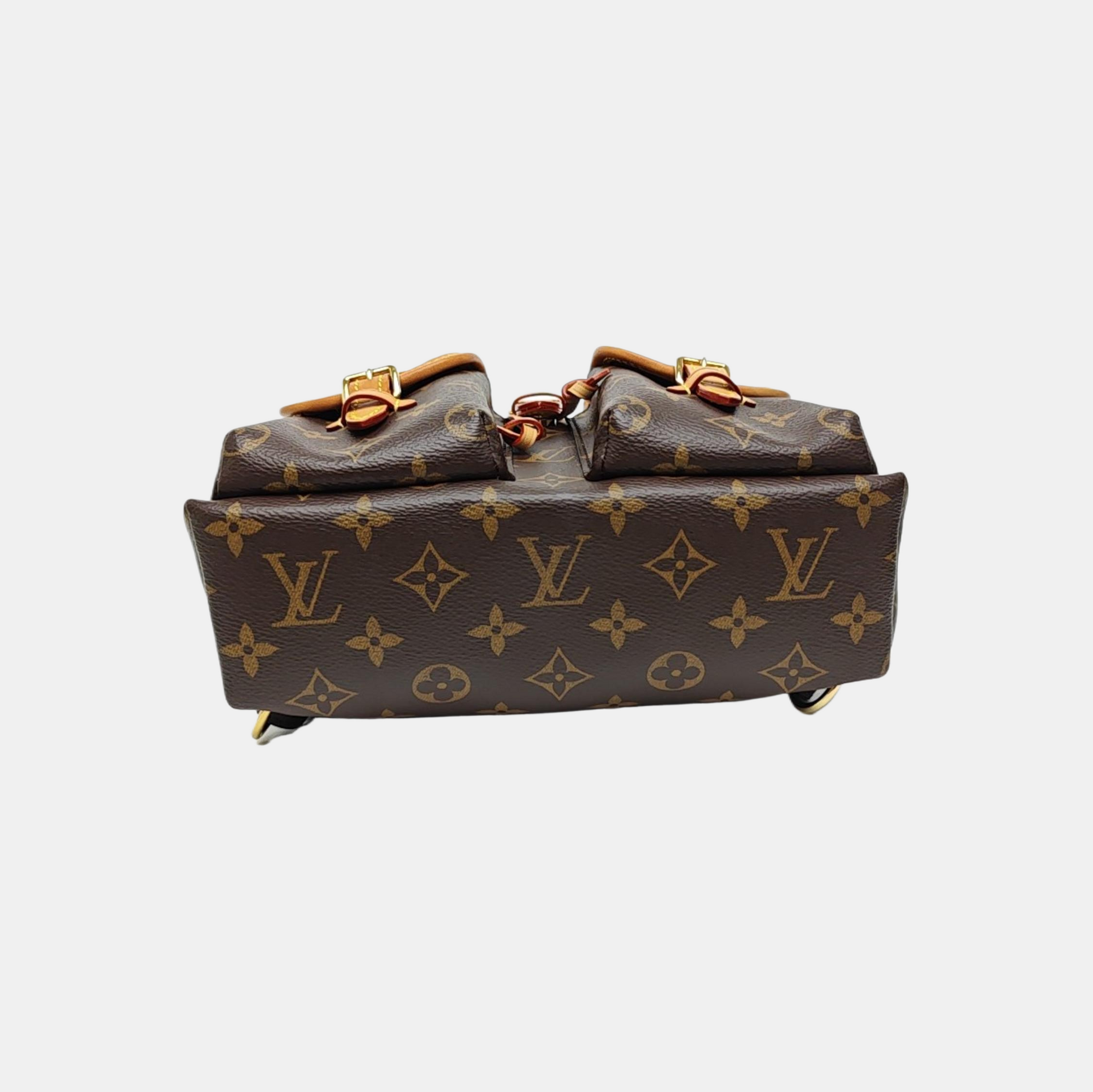 EXCURSION PM Monogram Coated Canvas Brown