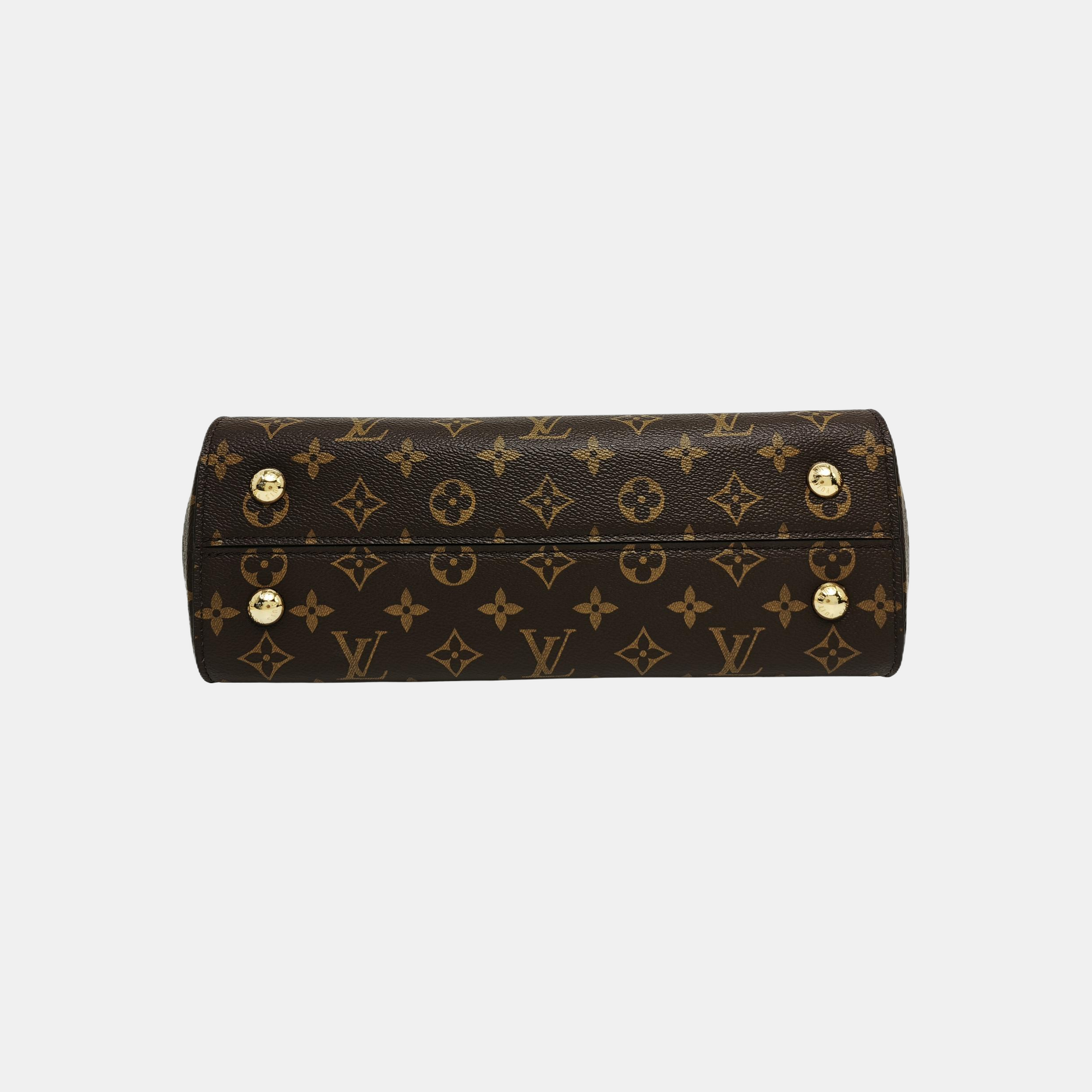 CLUNY MM Monogram Coated Canvas Brown