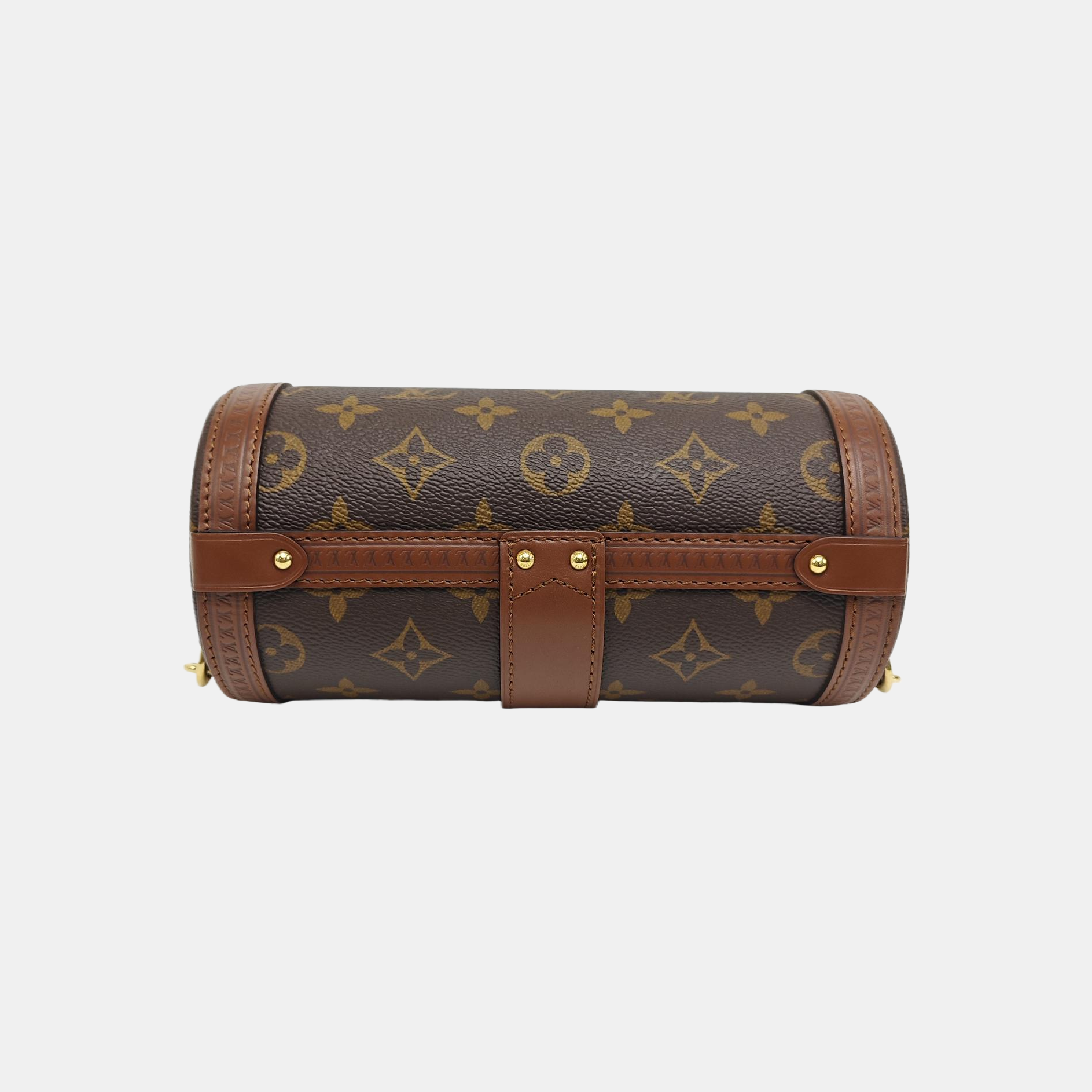 PAPILLON 19 Monogram Coated Canvas Brown