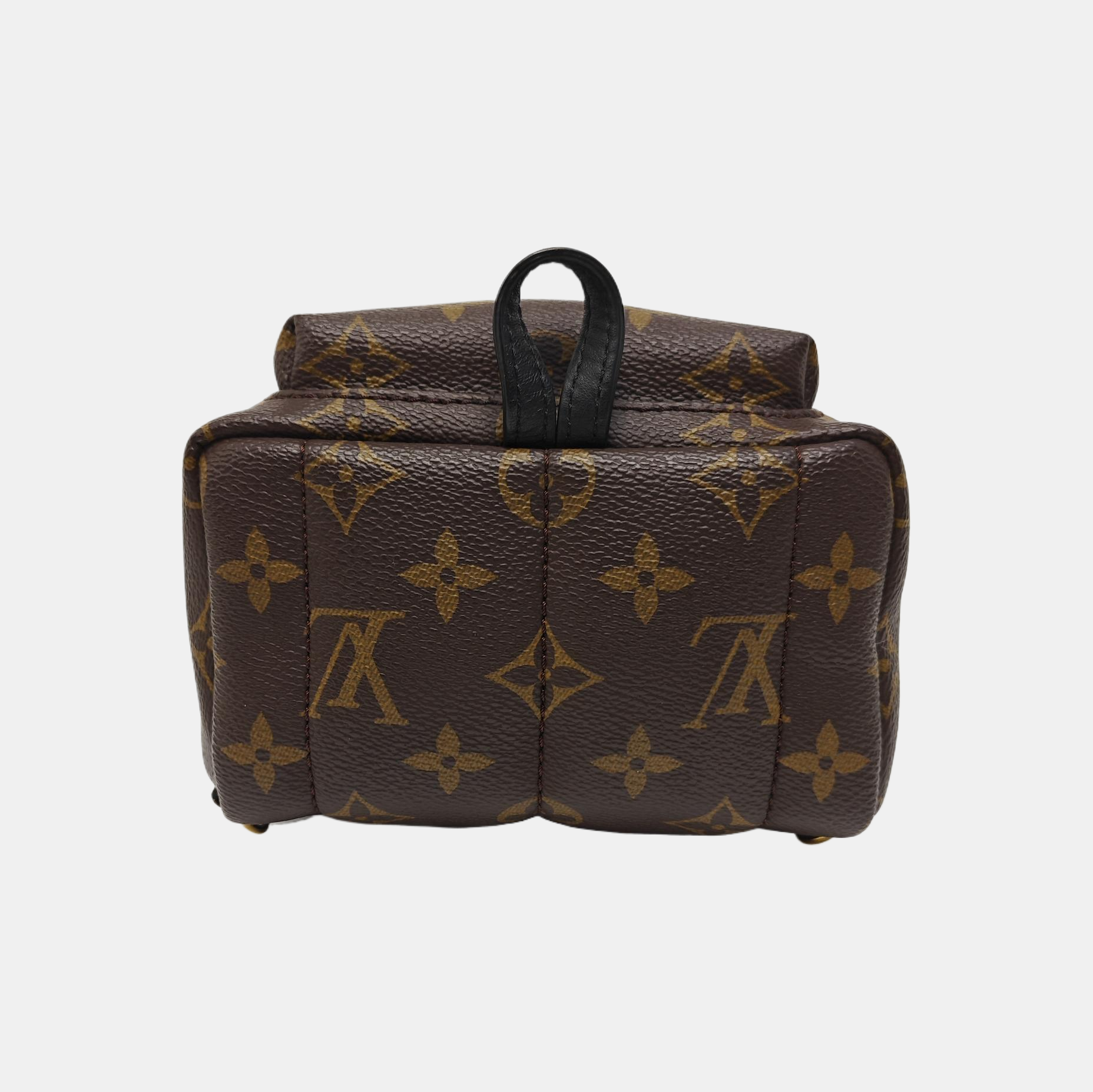 PALM SPRINGS Mini Monogram Coated Canvas Brown