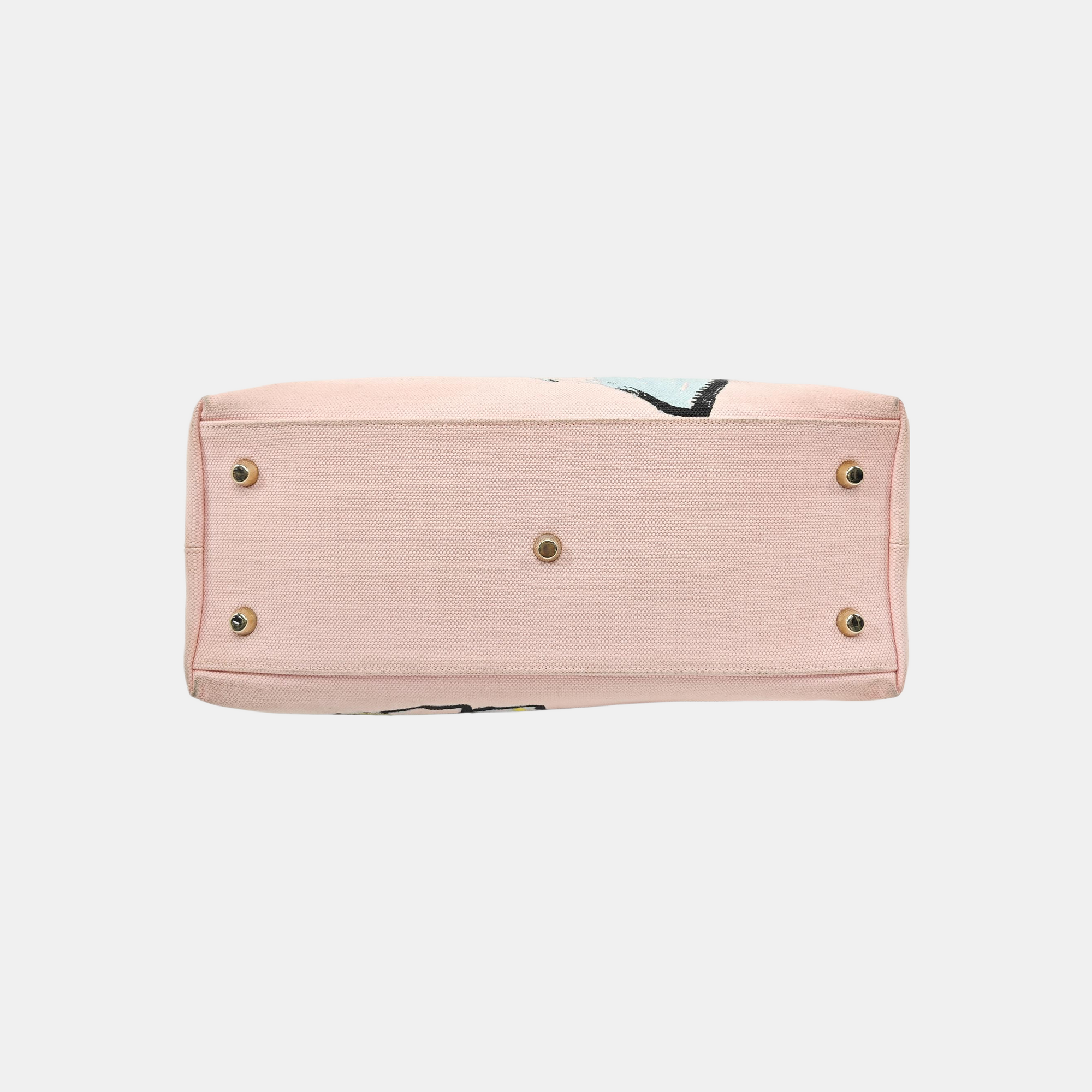 Diorissimo Canvas Pink