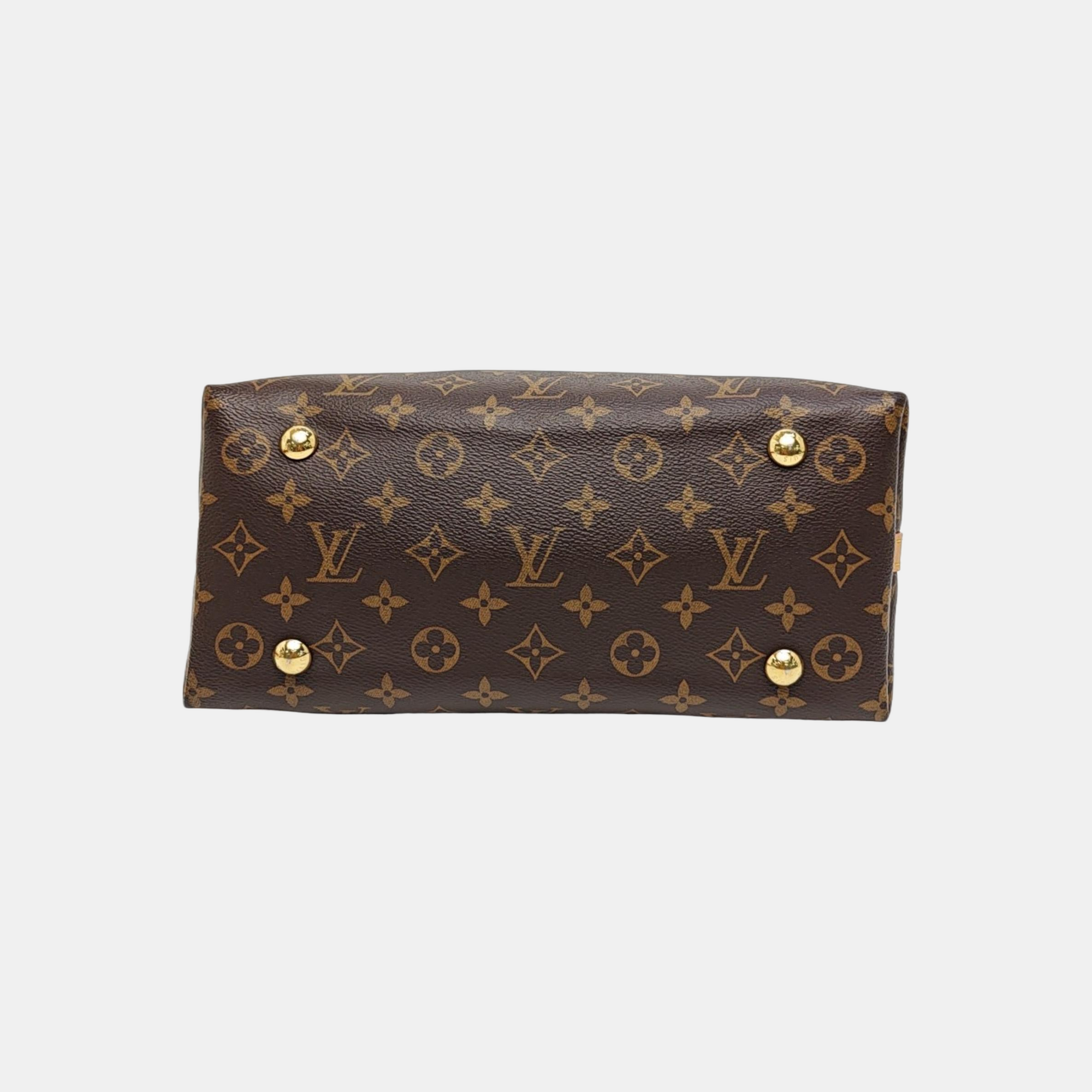 CARRYALL PM Monogram Coated Canvas Brown