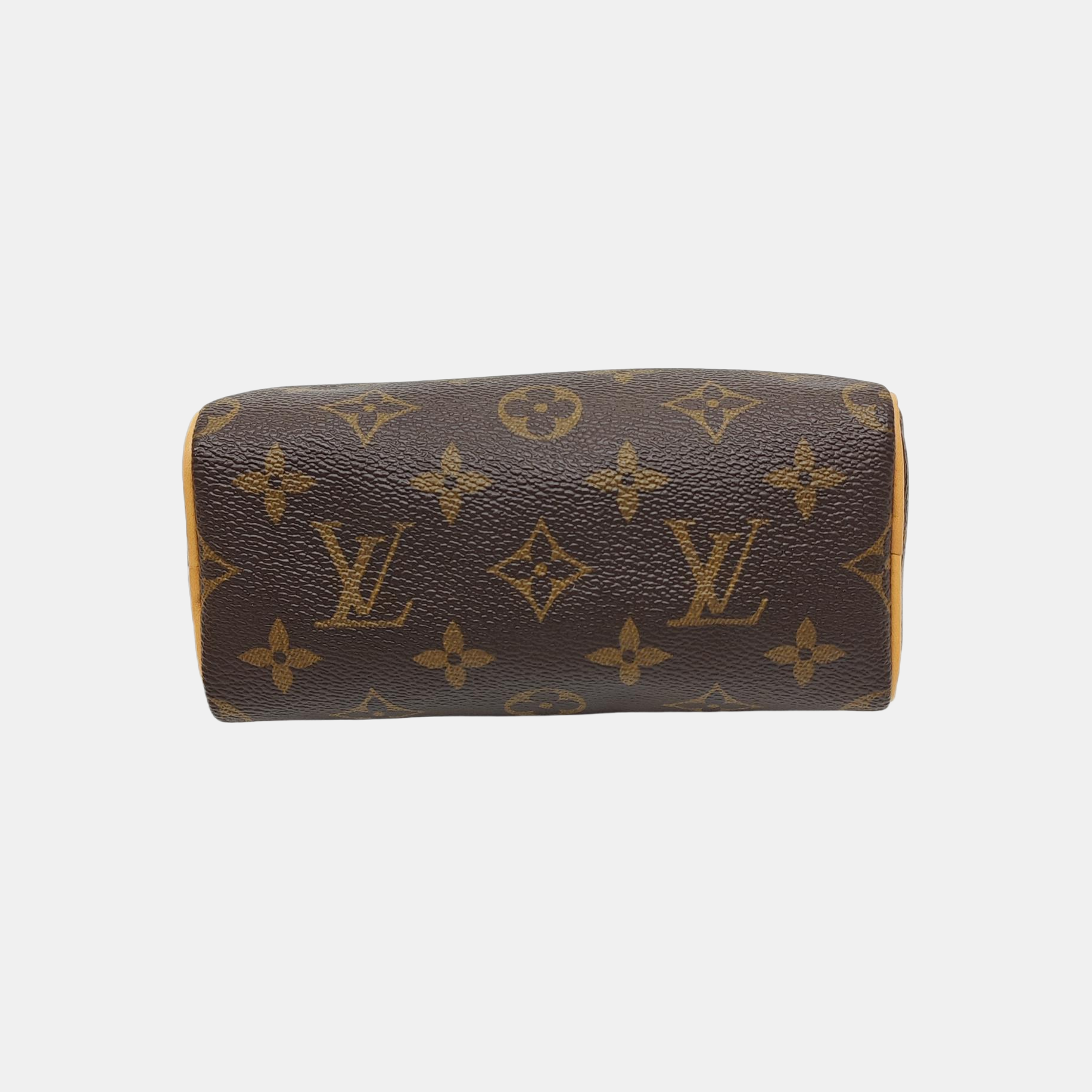 SPEEDY Nano Monogram Coated Canvas Brown