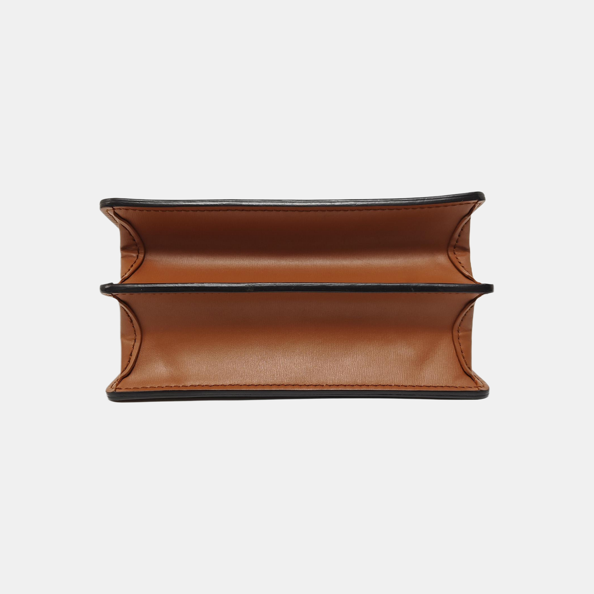 DAUPHINE Mini Monogram Coated Canvas Brown