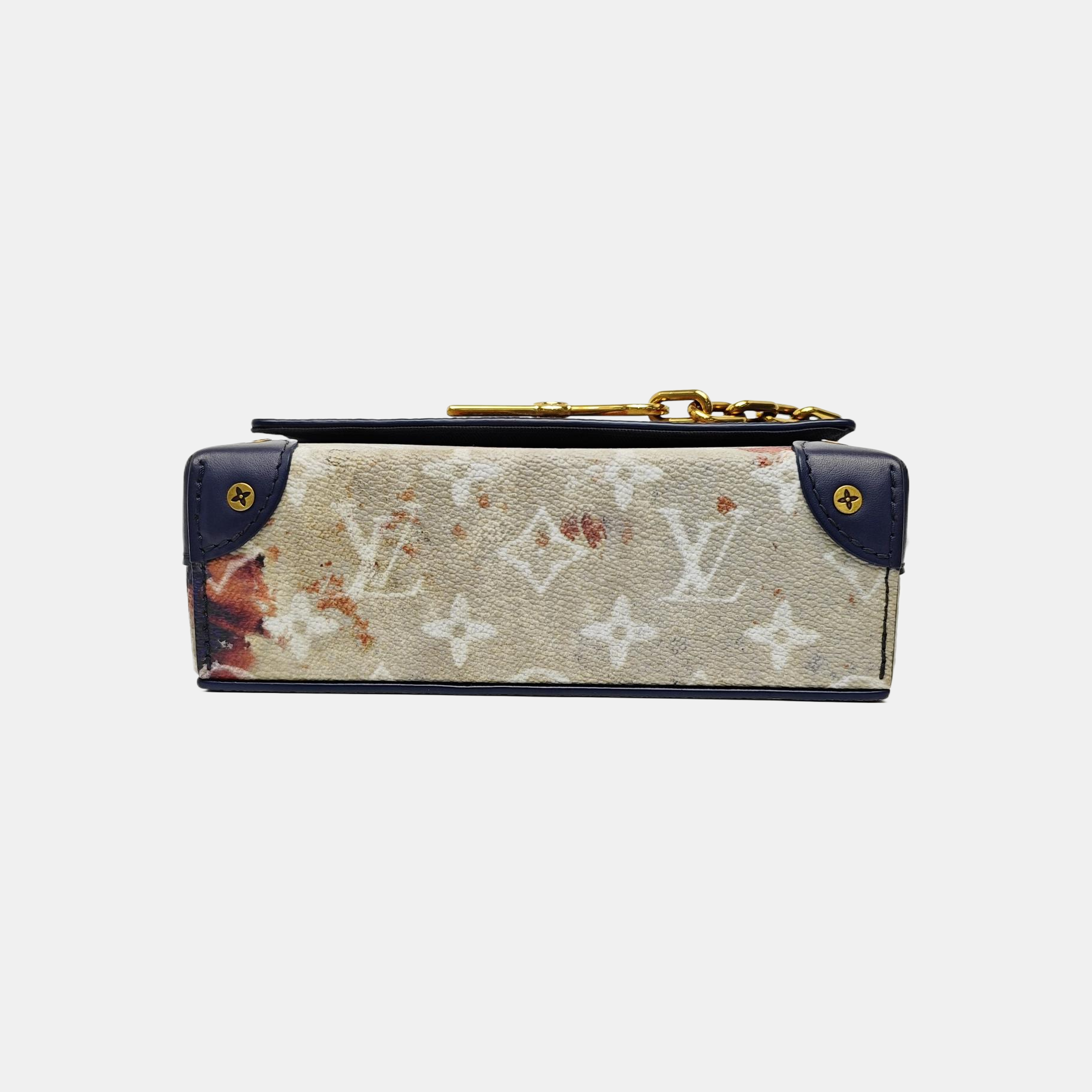 SOFT TRUNK Monogram Coated Canvas Multicolor