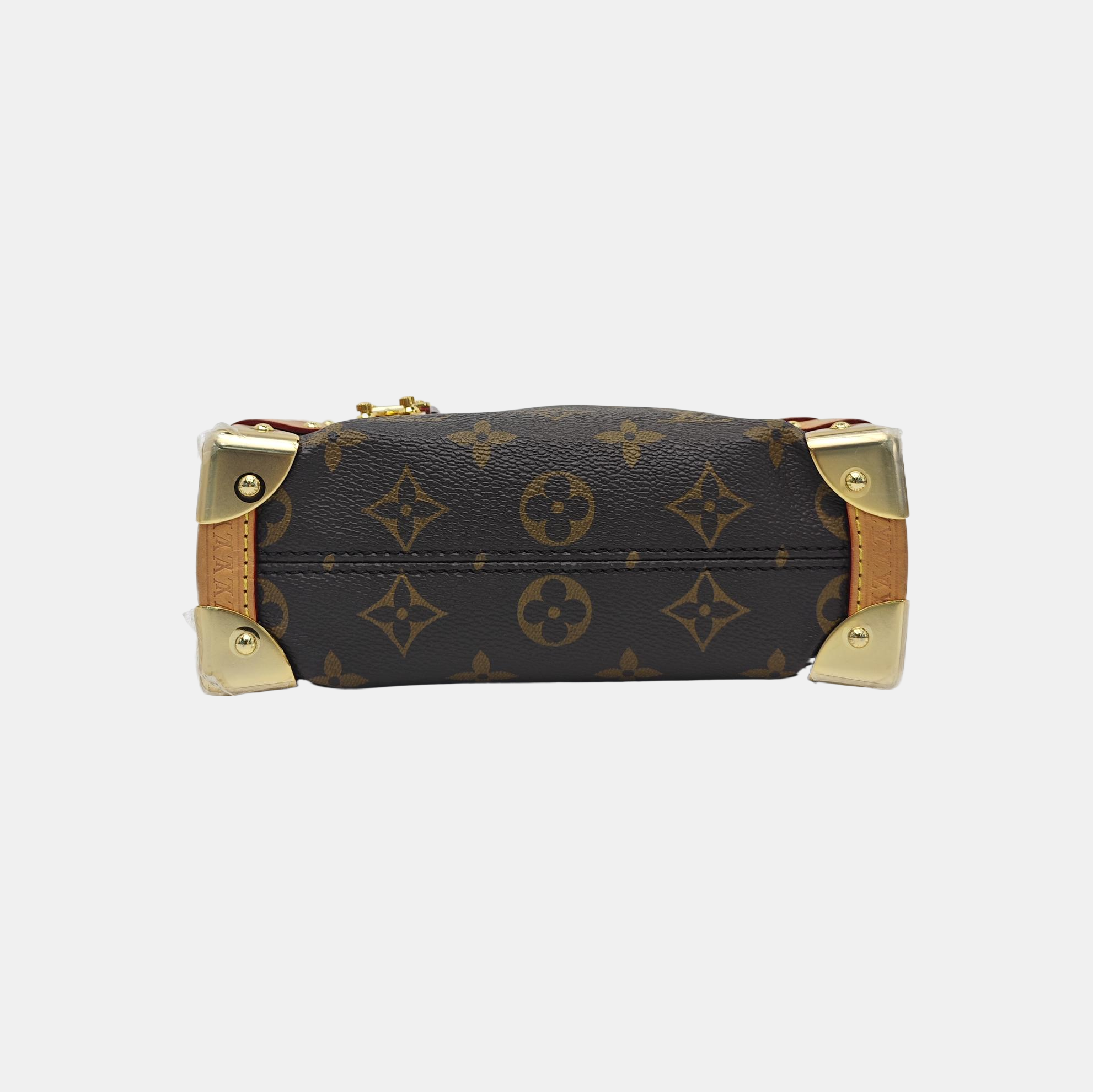 SIDE TRUNK PM Monogram Coated Canvas Brown