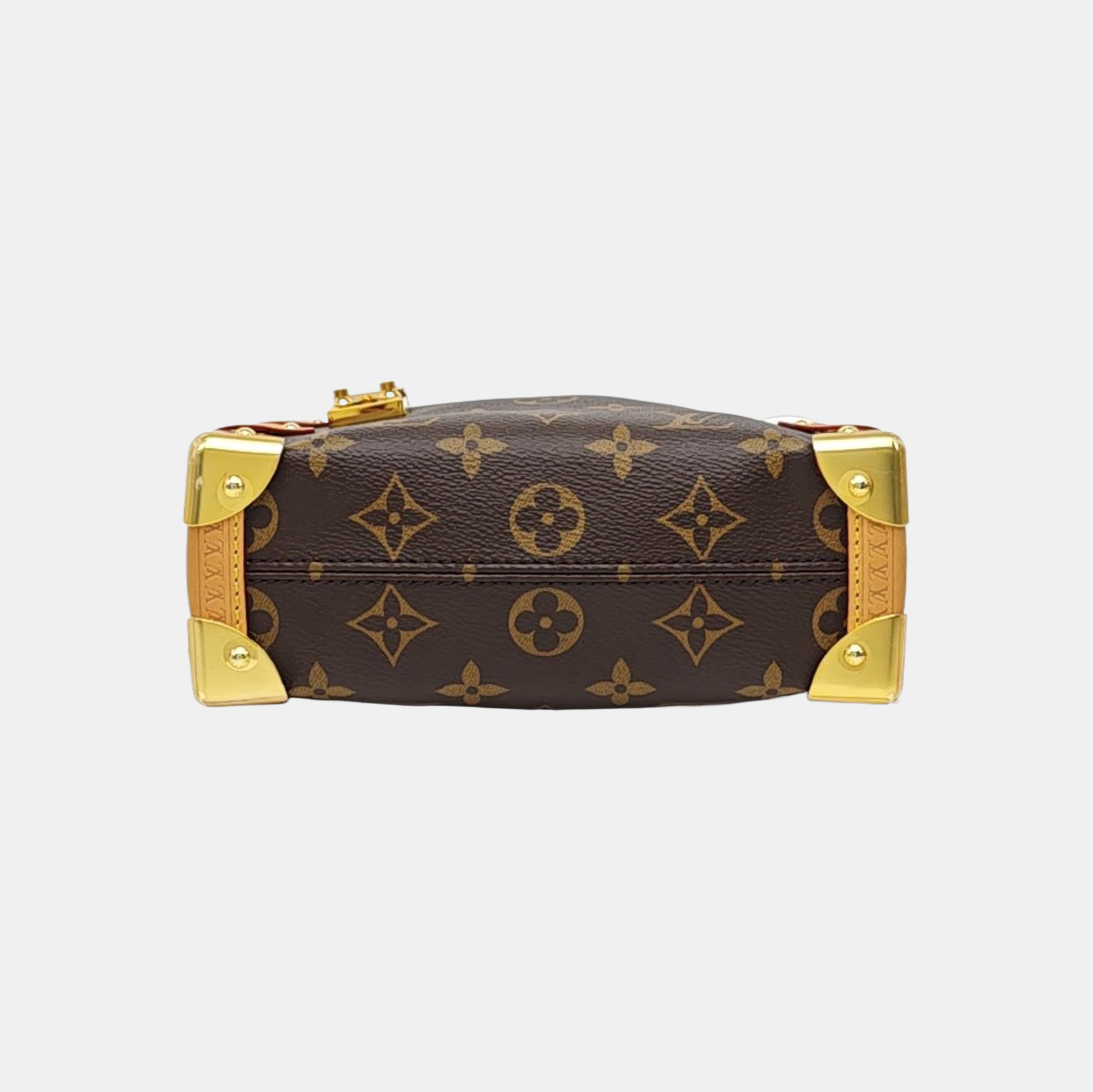 SIDE TRUNK PM Monogram Coated Canvas Brown