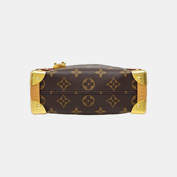 SIDE TRUNK PM Monogram Coated Canvas Brown