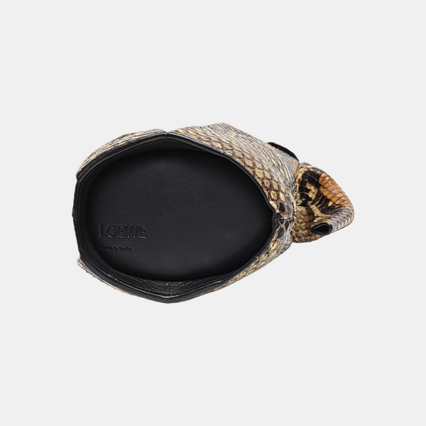 Animals Python Multicolor