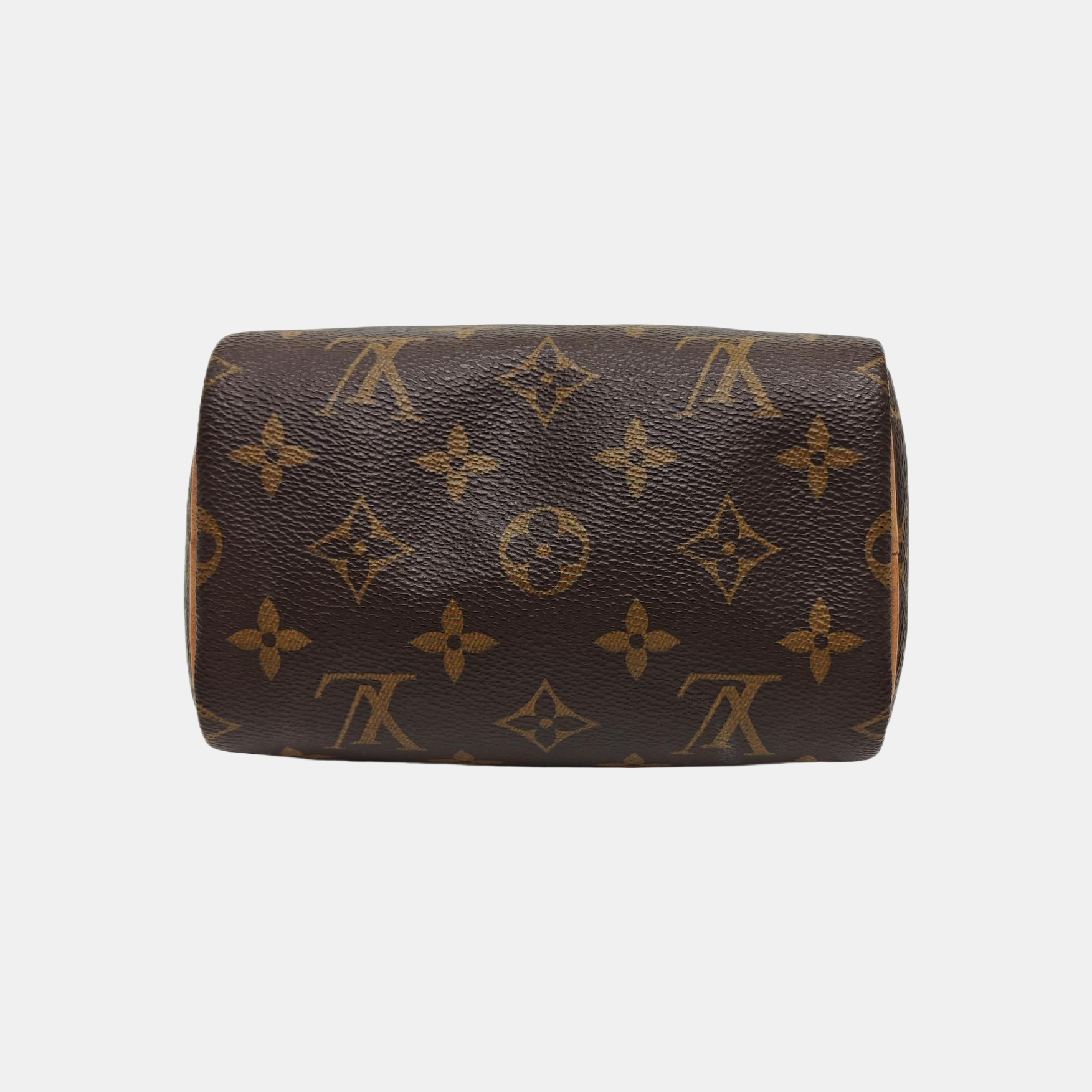 SPEEDY Nano Monogram Coated Canvas Brown