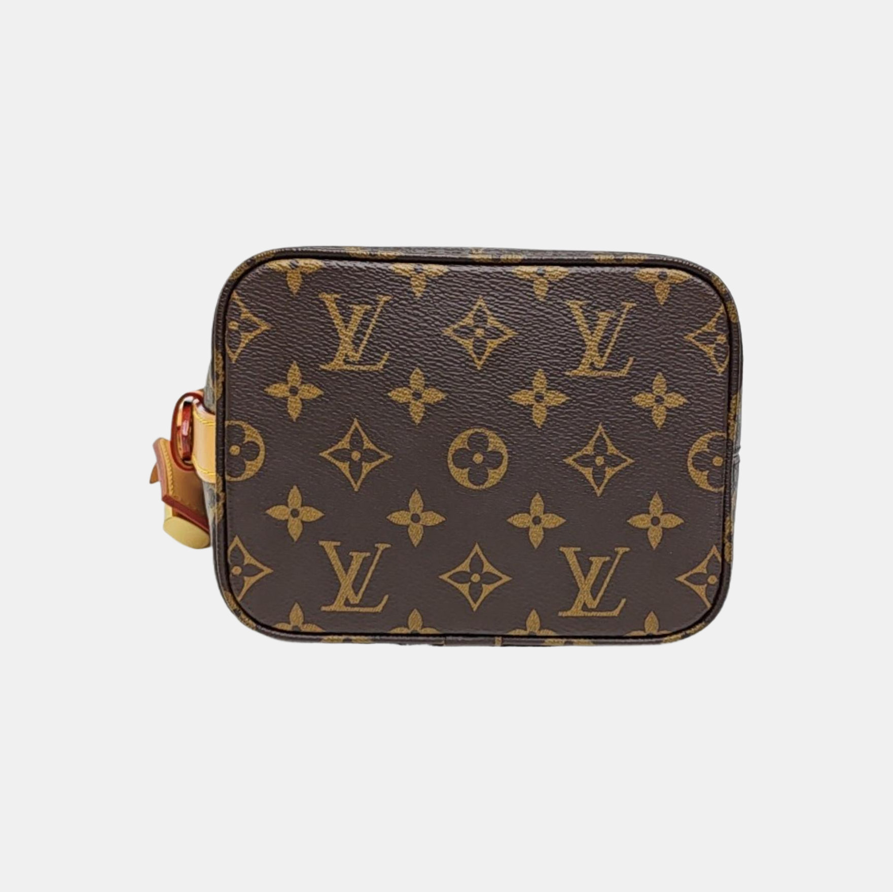 ALL IN Monogram Coated Canvas Brown