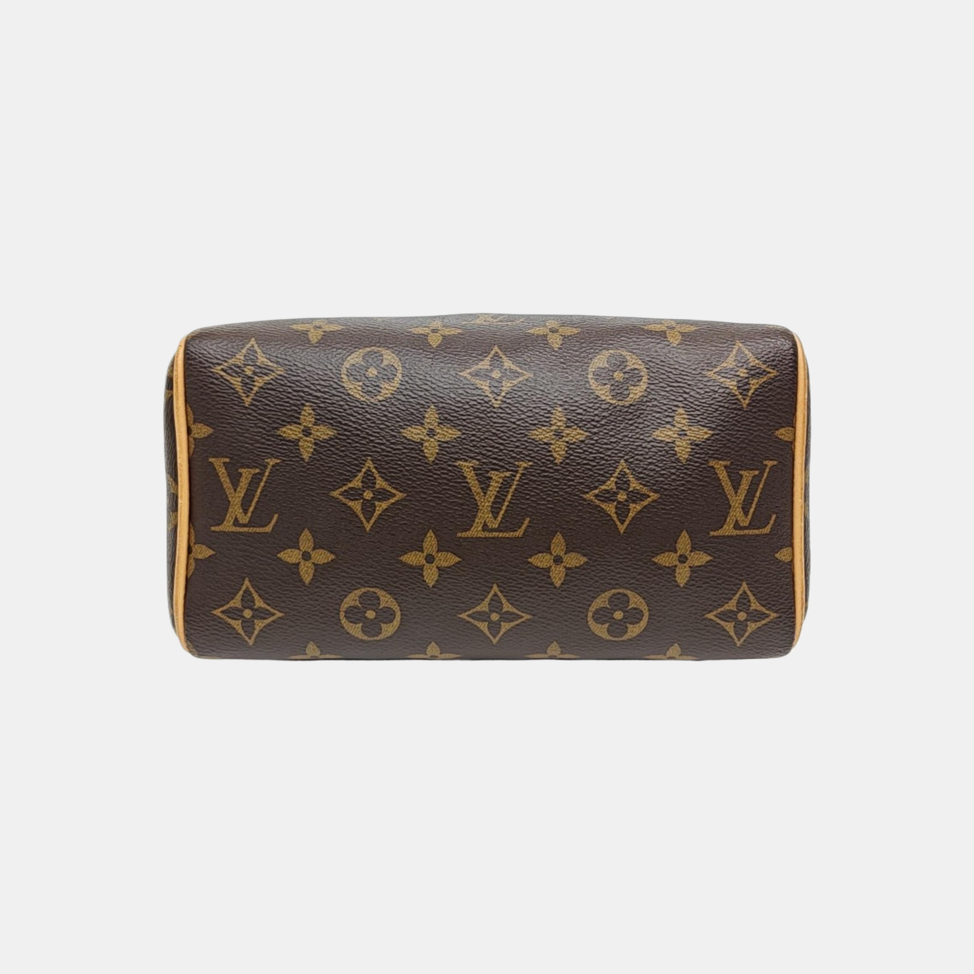 SPEEDY 20 Monogram Coated Canvas Brown