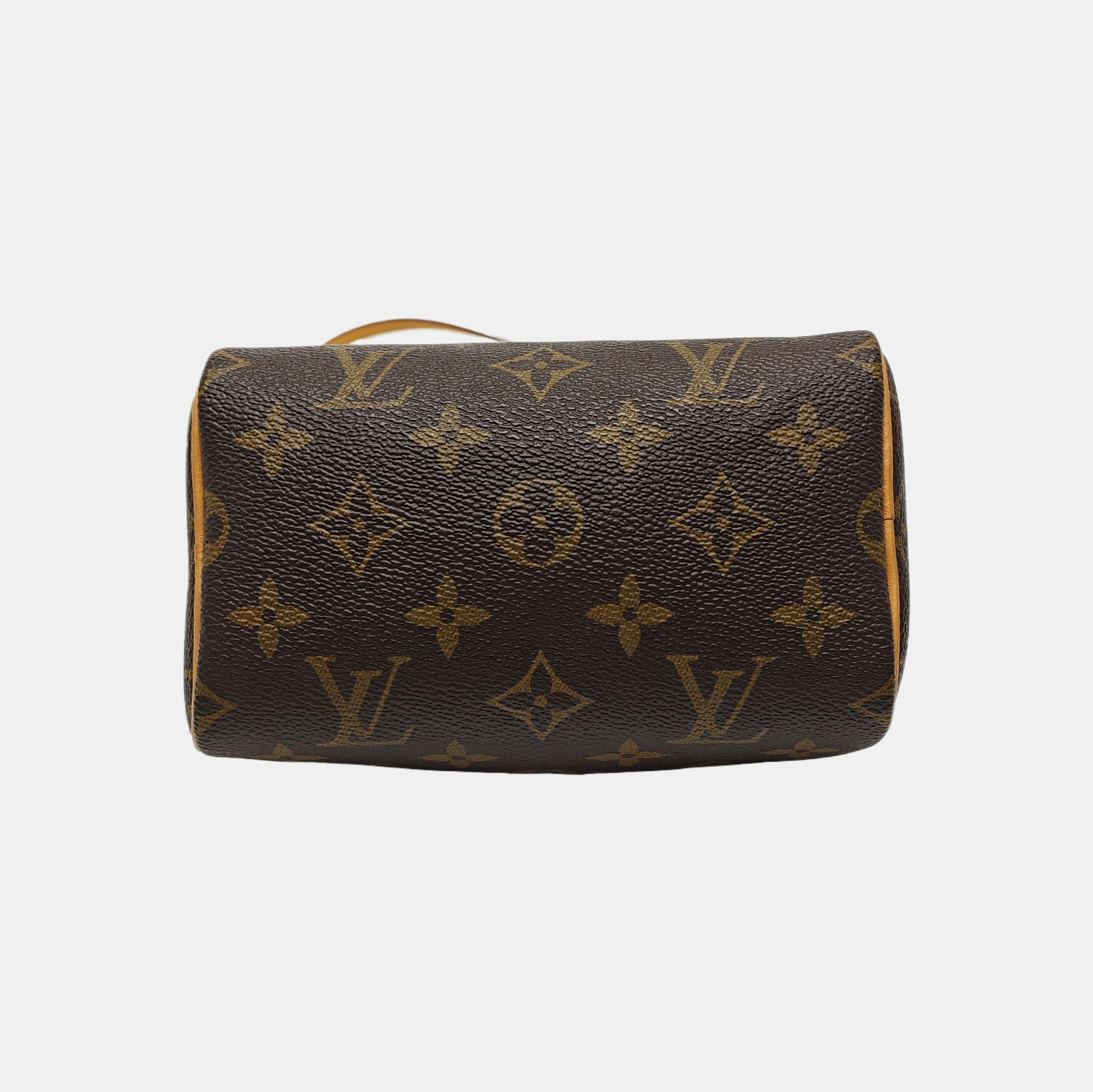 SPEEDY Nano Monogram Coated Canvas Brown