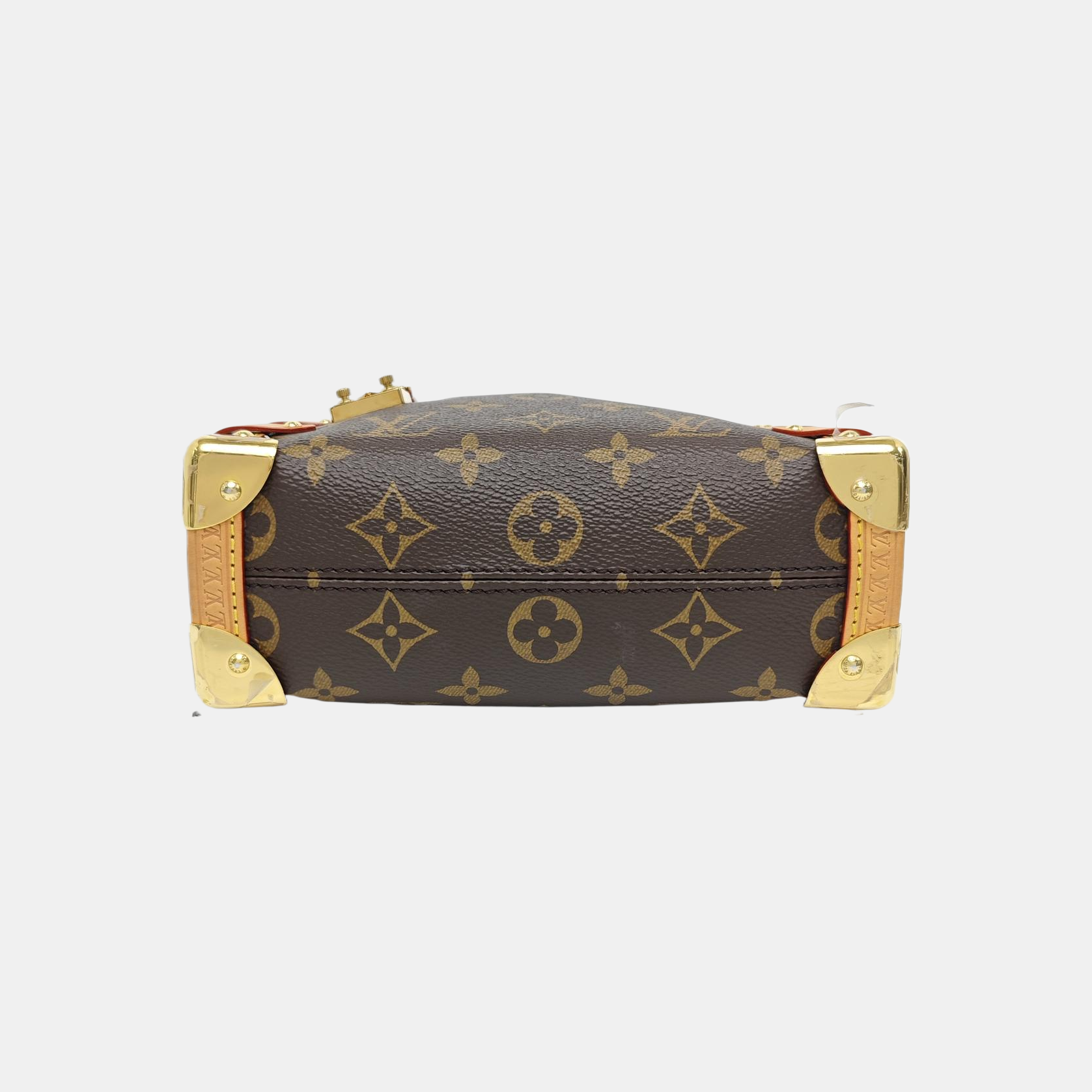 SIDE TRUNK PM Monogram Coated Canvas Brown