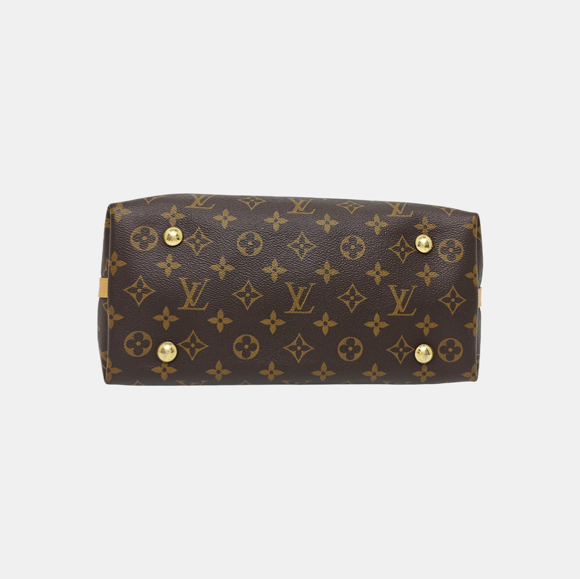 CARRYALL PM Monogram Coated Canvas Brown