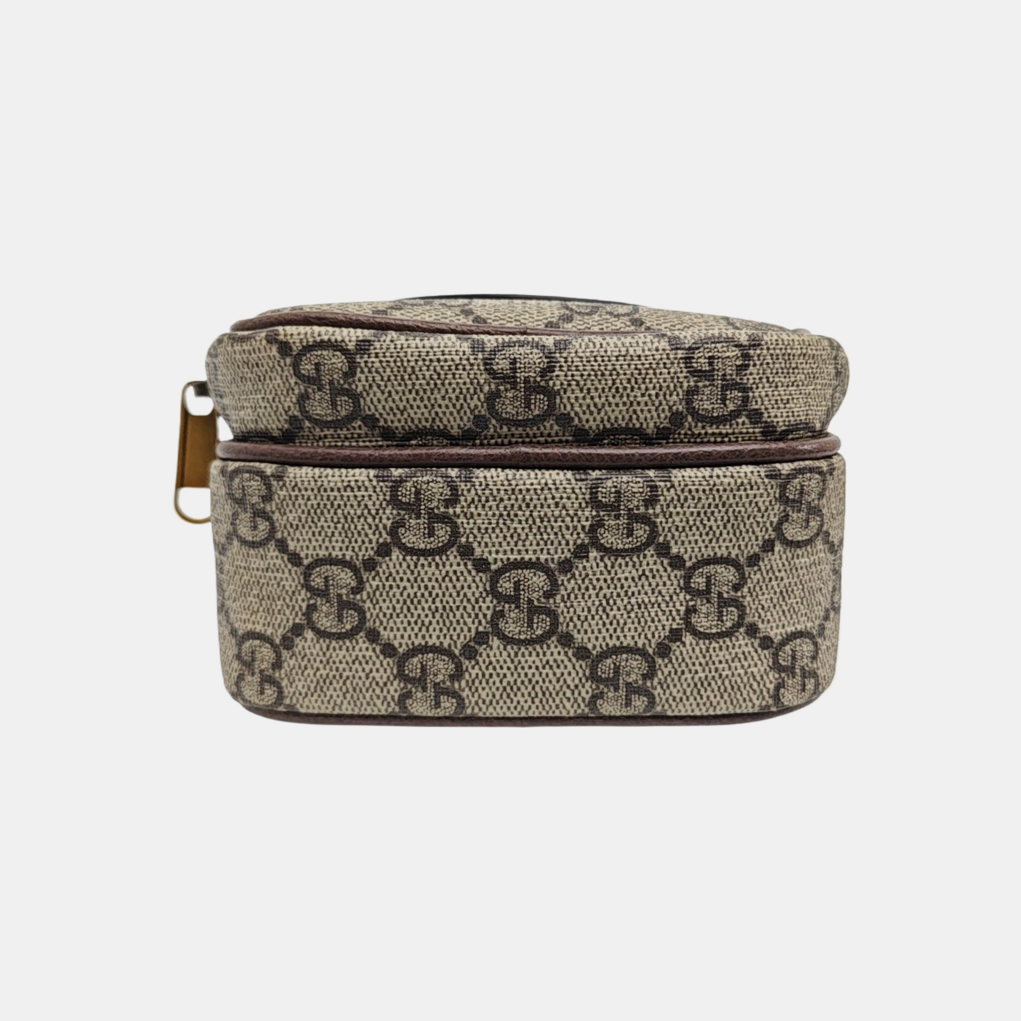 Neo Vintage Mini Monogram Coated Canvas Brown